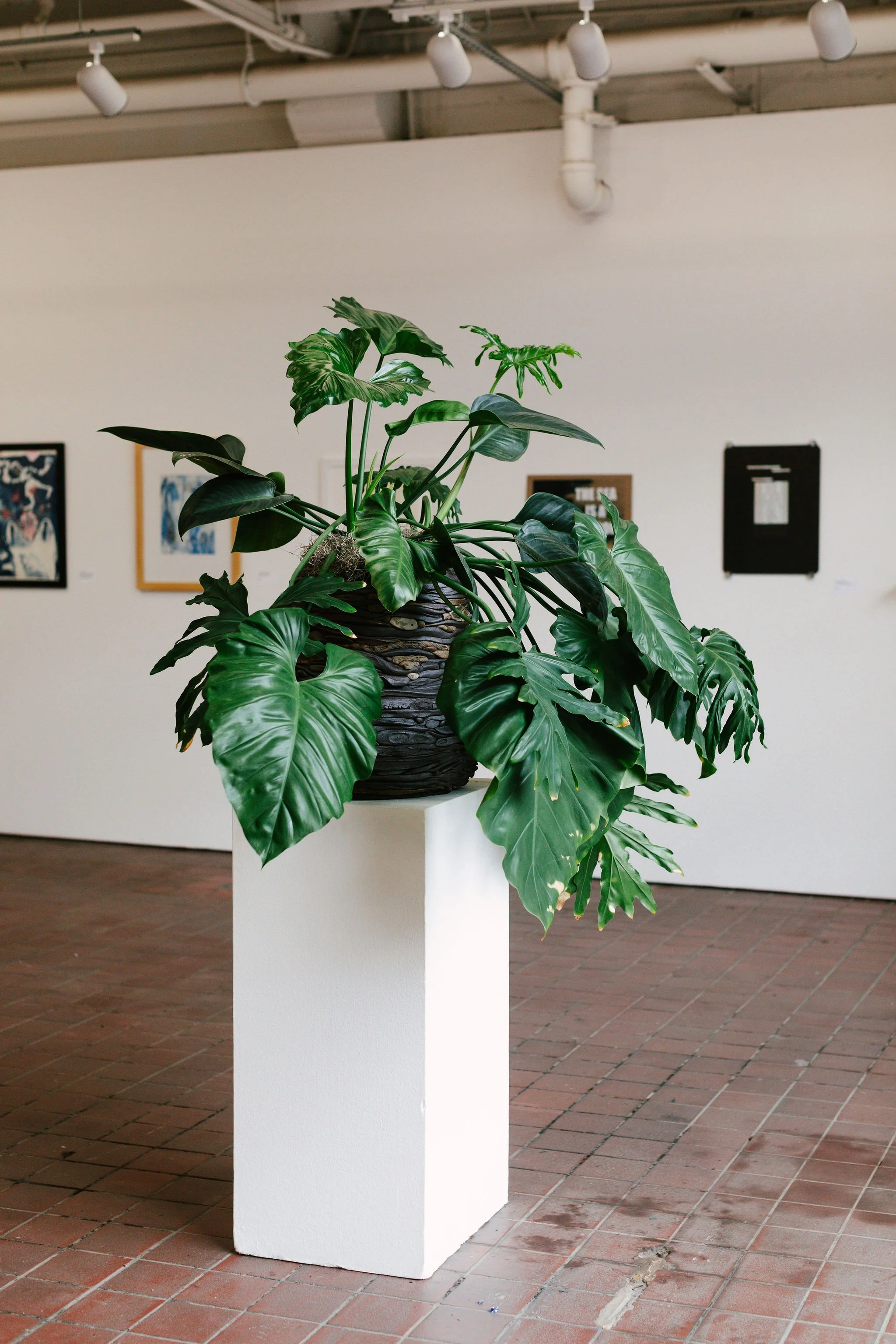 AACStaffShow_95.jpg