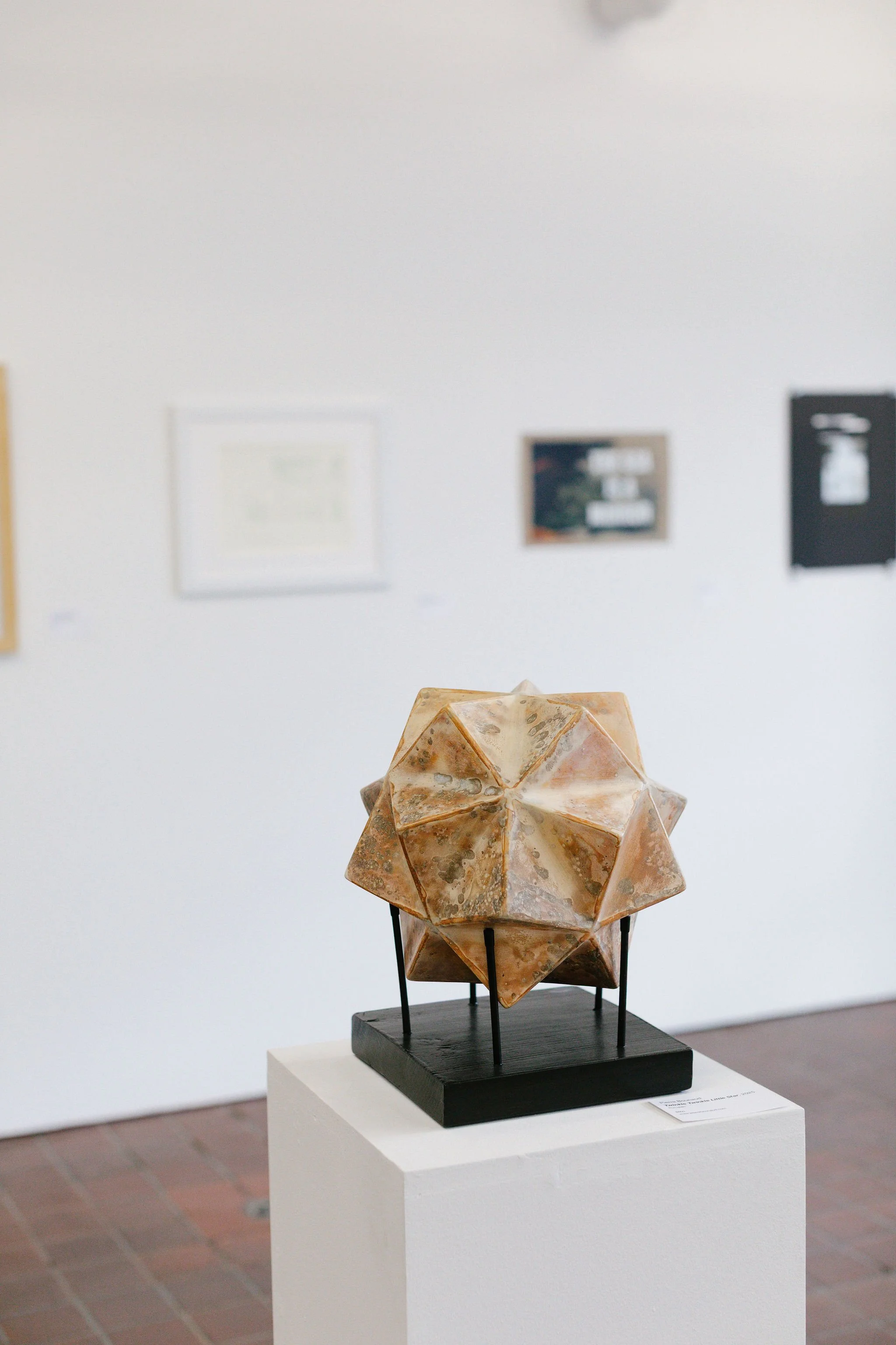 AACStaffShow_124.jpg