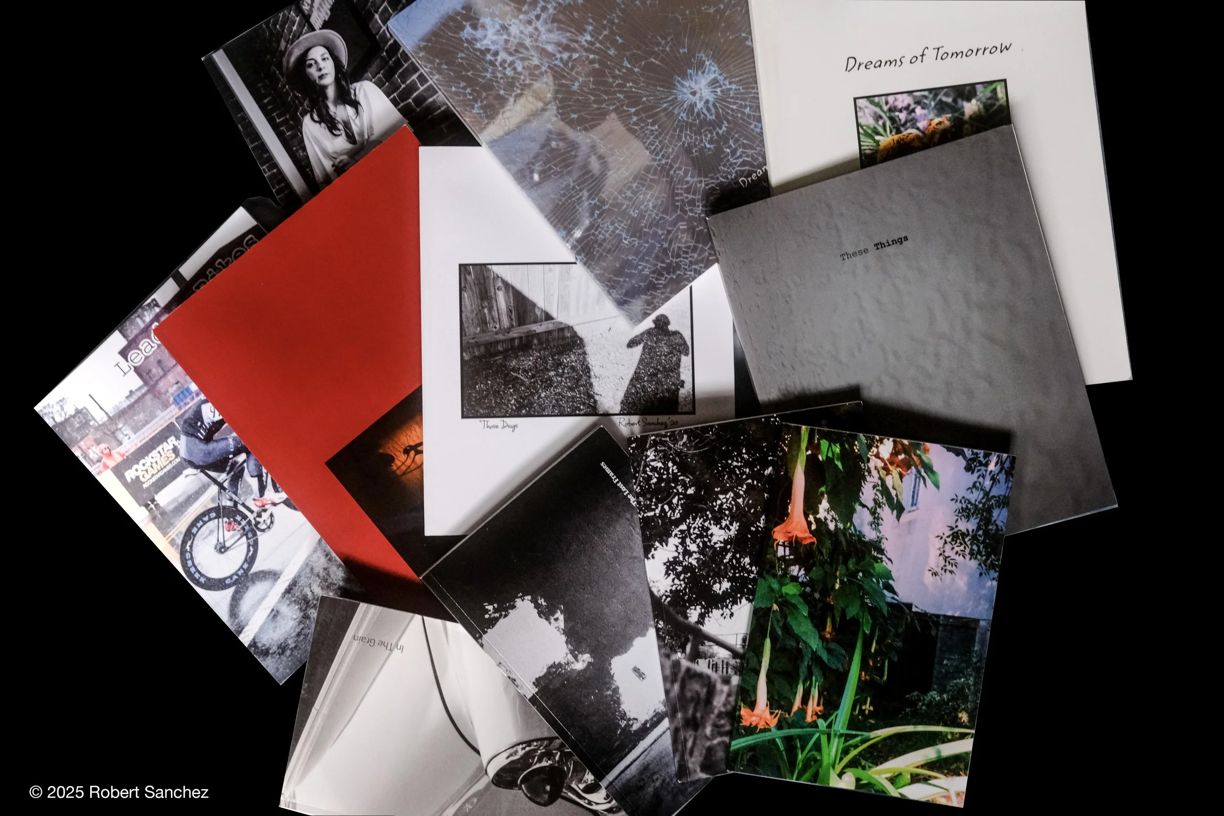 102. Explore the Photobook Phenomenon: Create/Design Your On-demand Photobook