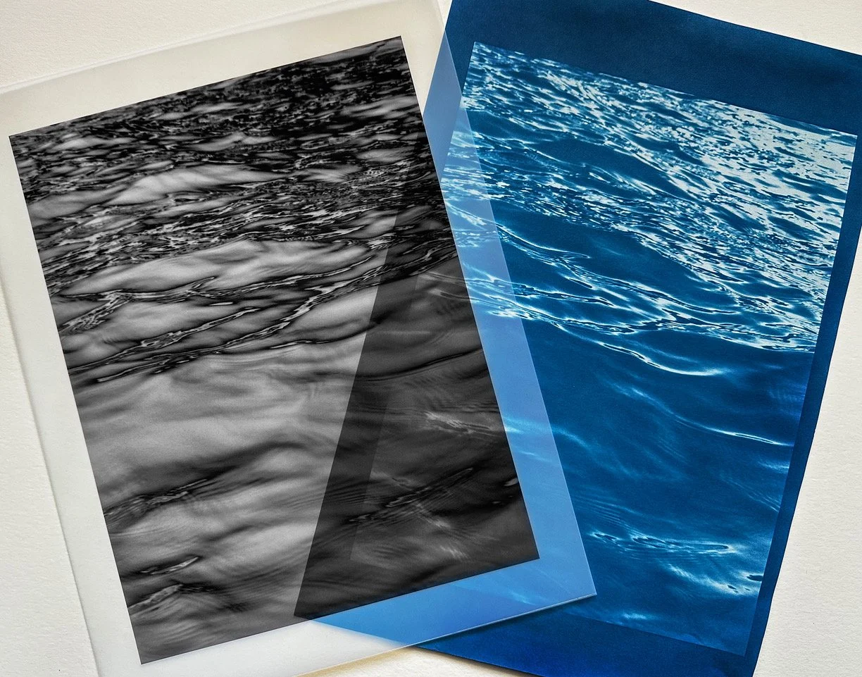 10. Cyanotype 1.0 Creating Digital Negatives to Contact Printing Objects