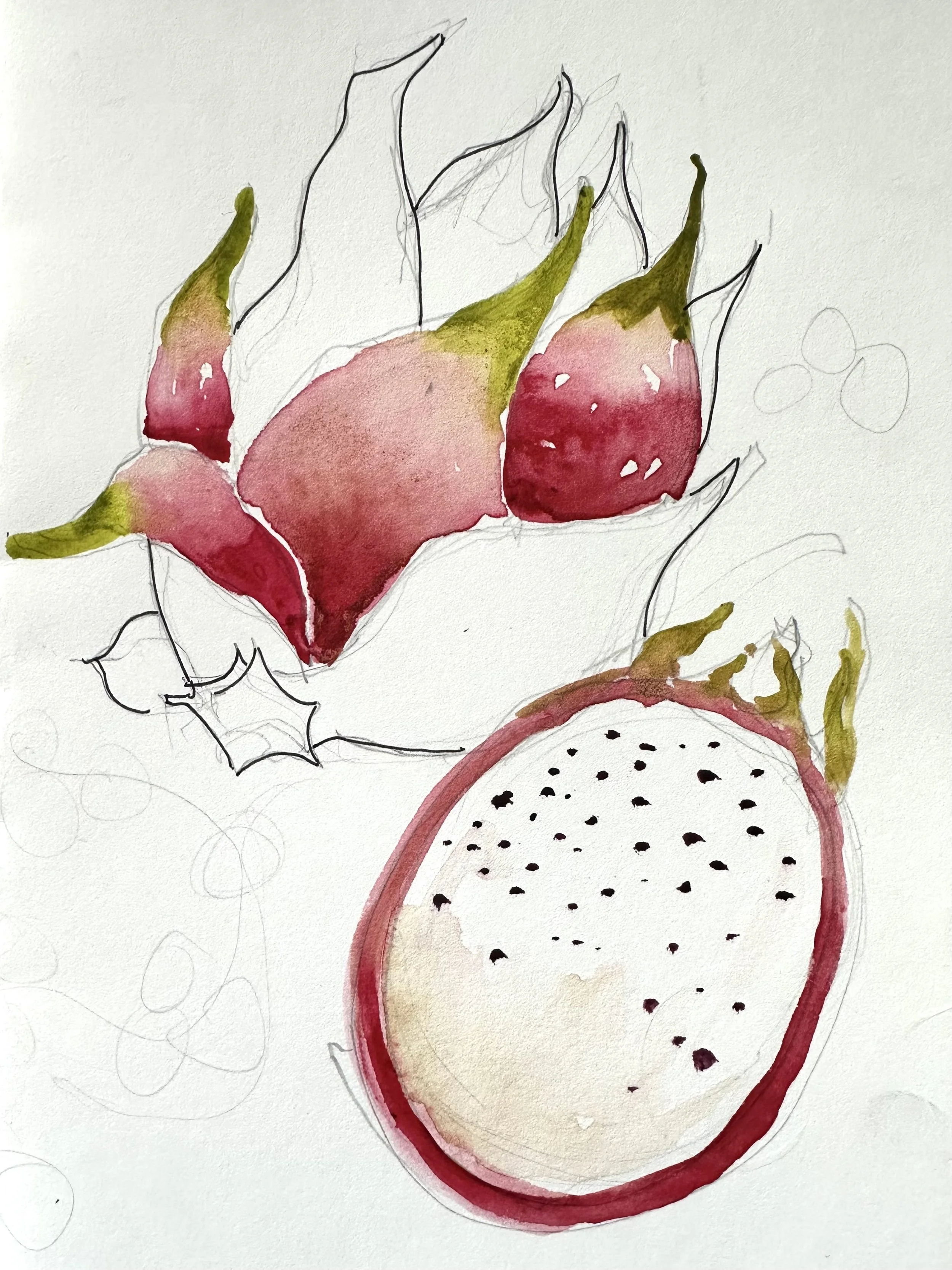 07. Watercolor Botanicals