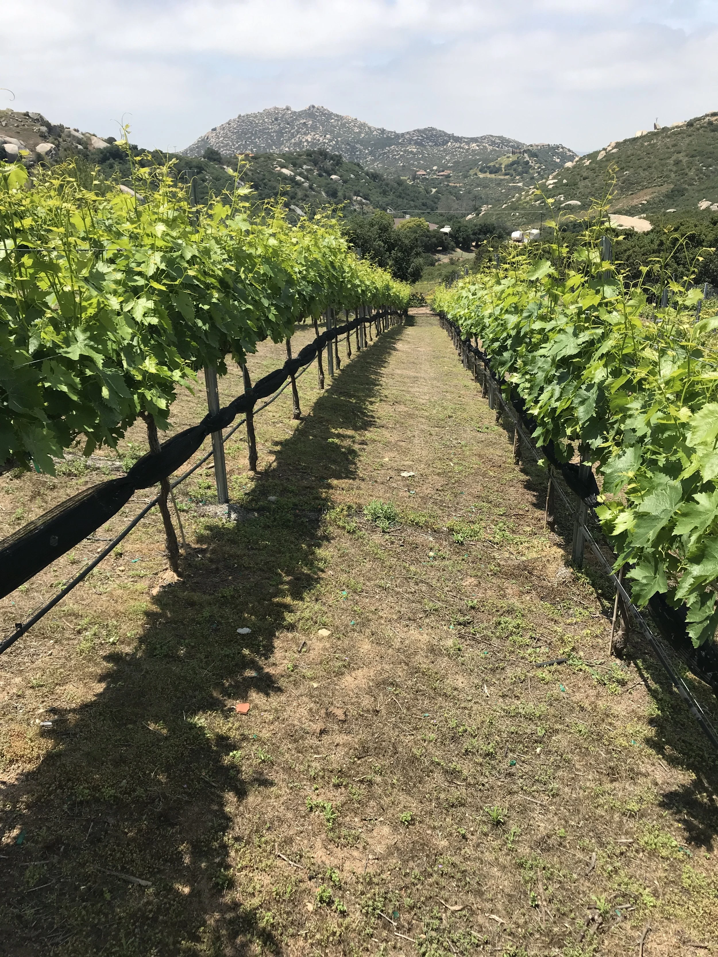 Southern California | Barbara Baxter Special Lecture