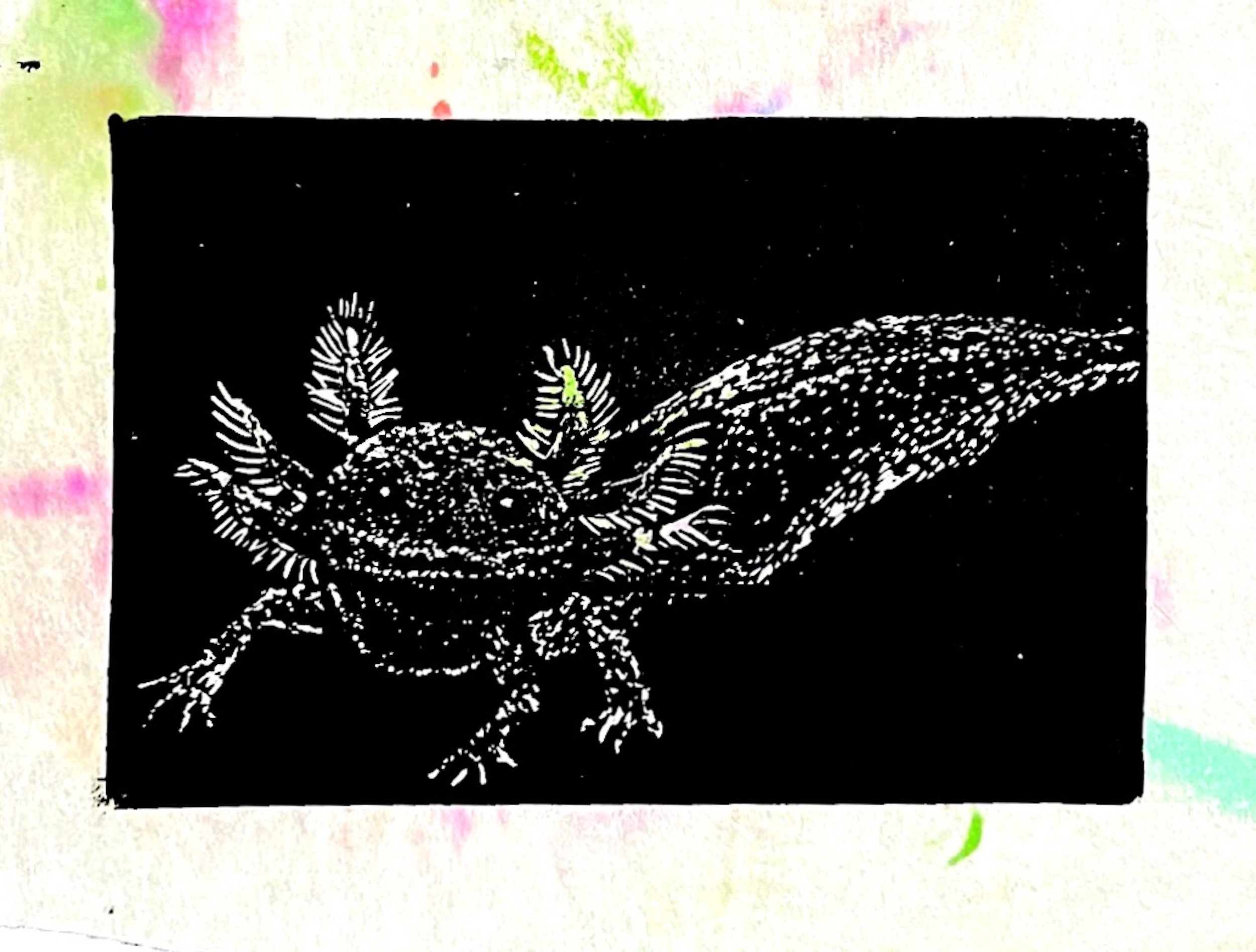 73. Grabado en Relieve: Relief Printmaking