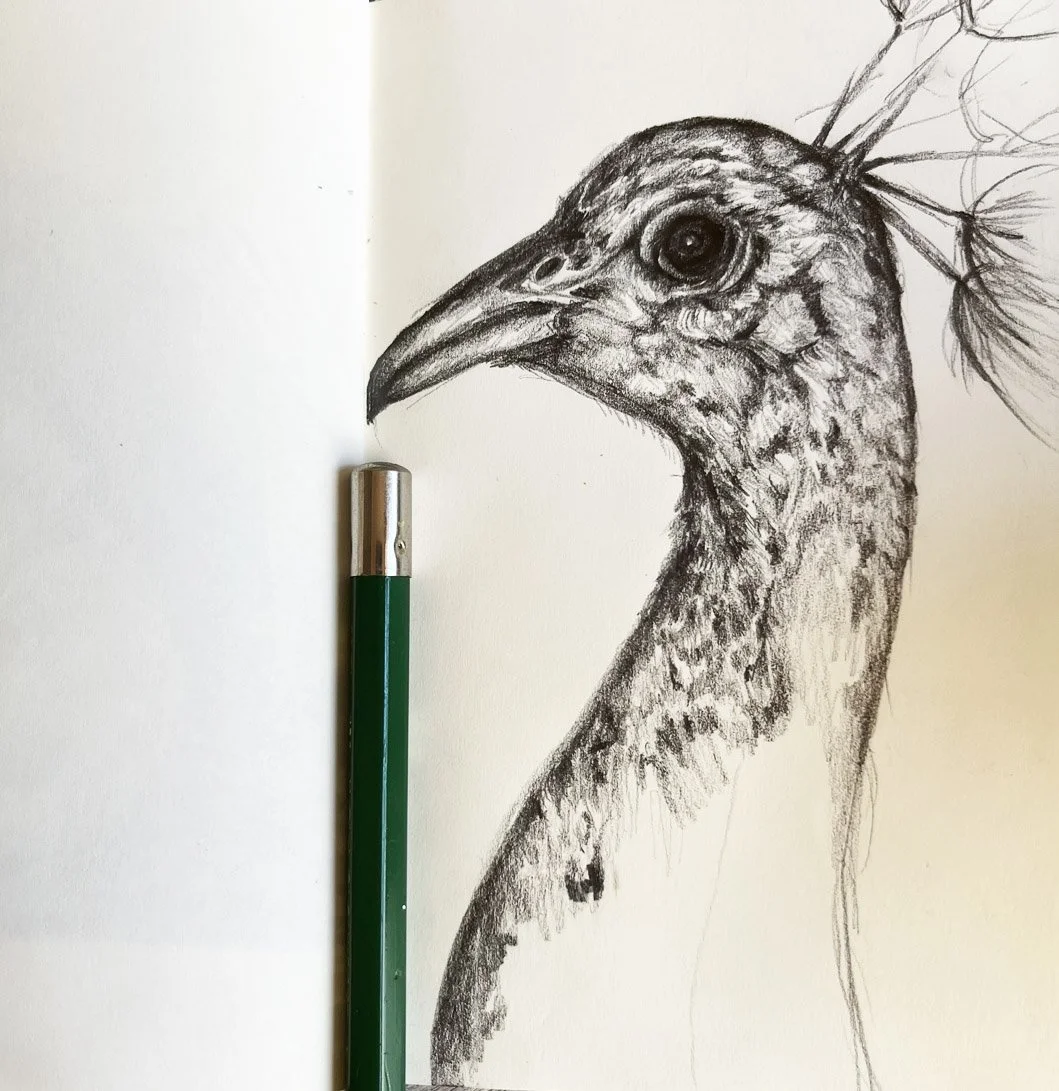 55. Pencil Drawing