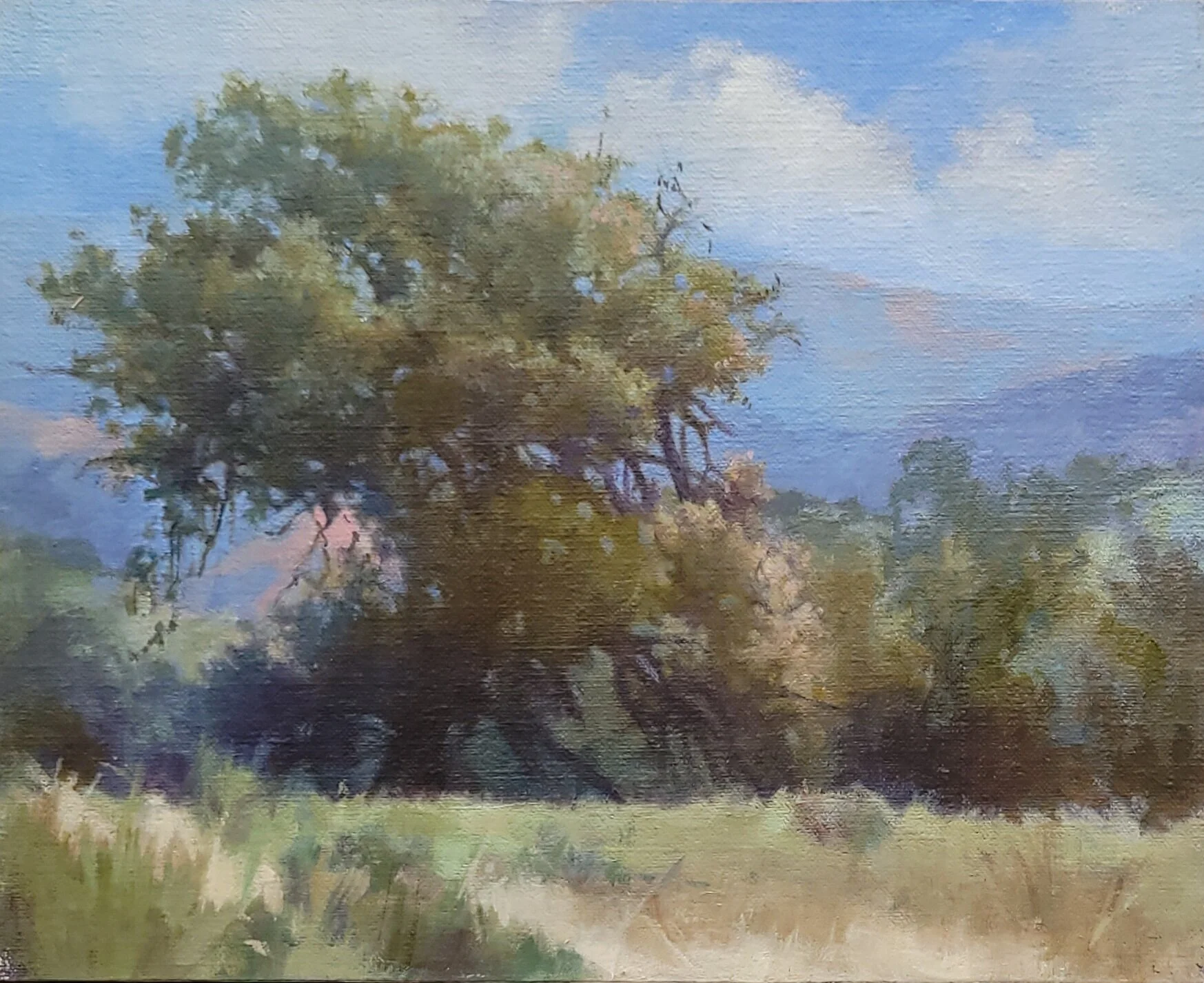 11. Plein Air Workshop: Barnett Ranch Preserve