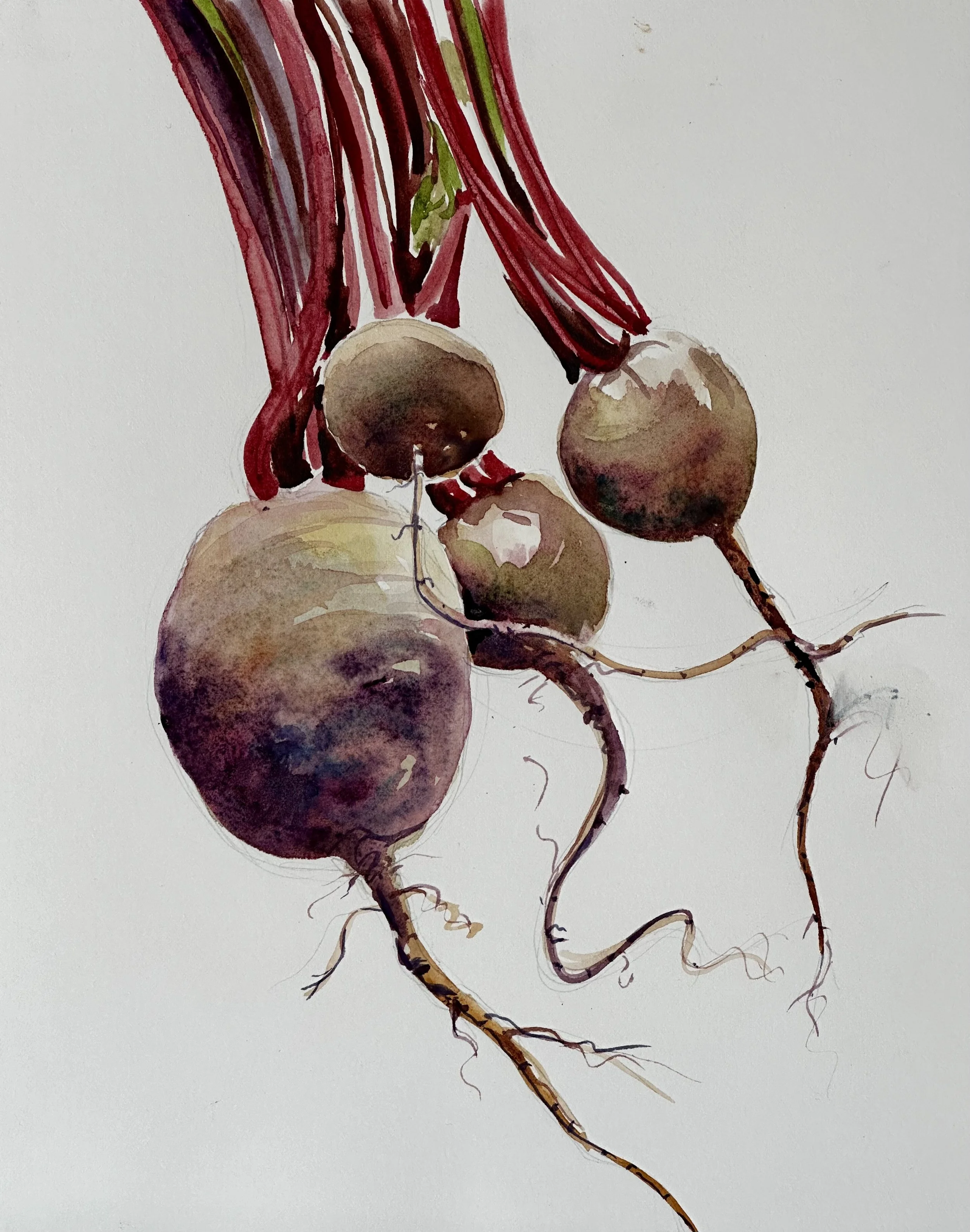 04. Watercolor Botanicals