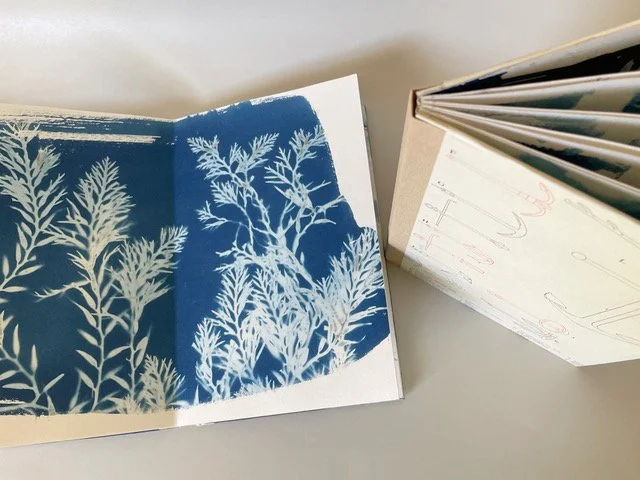 73. Book of Ocean Cyanotypes
