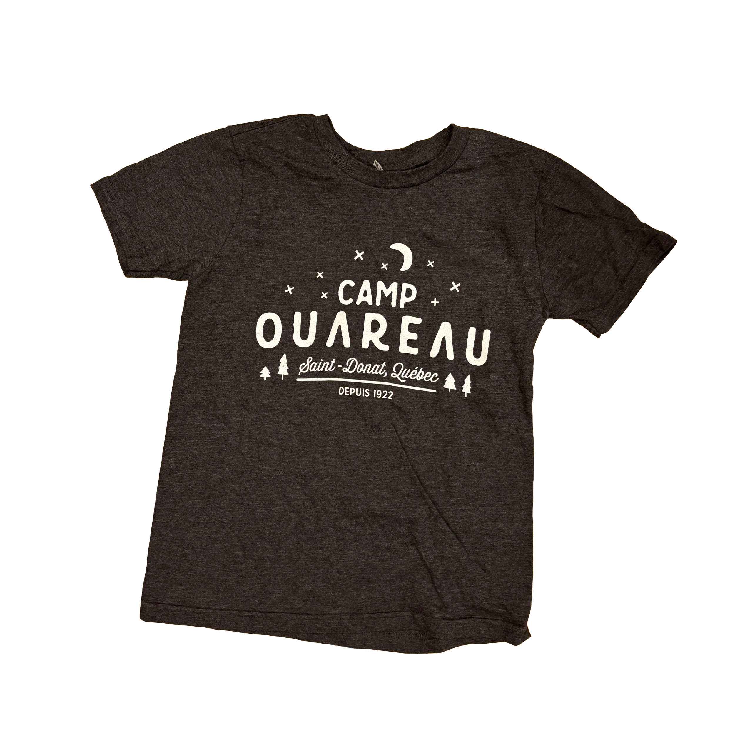 Dark grey t-shirt / T-shirt gris foncé