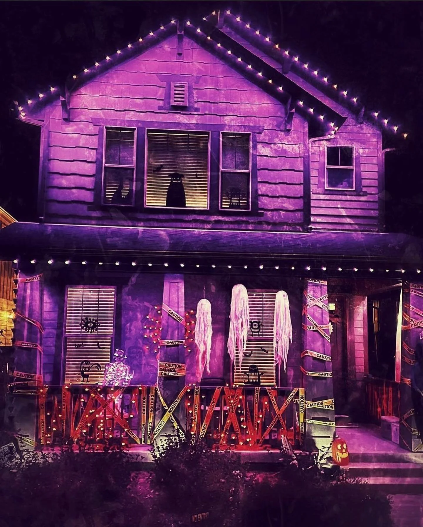 Idaho Curbing & Landscape JellyFish Lighting