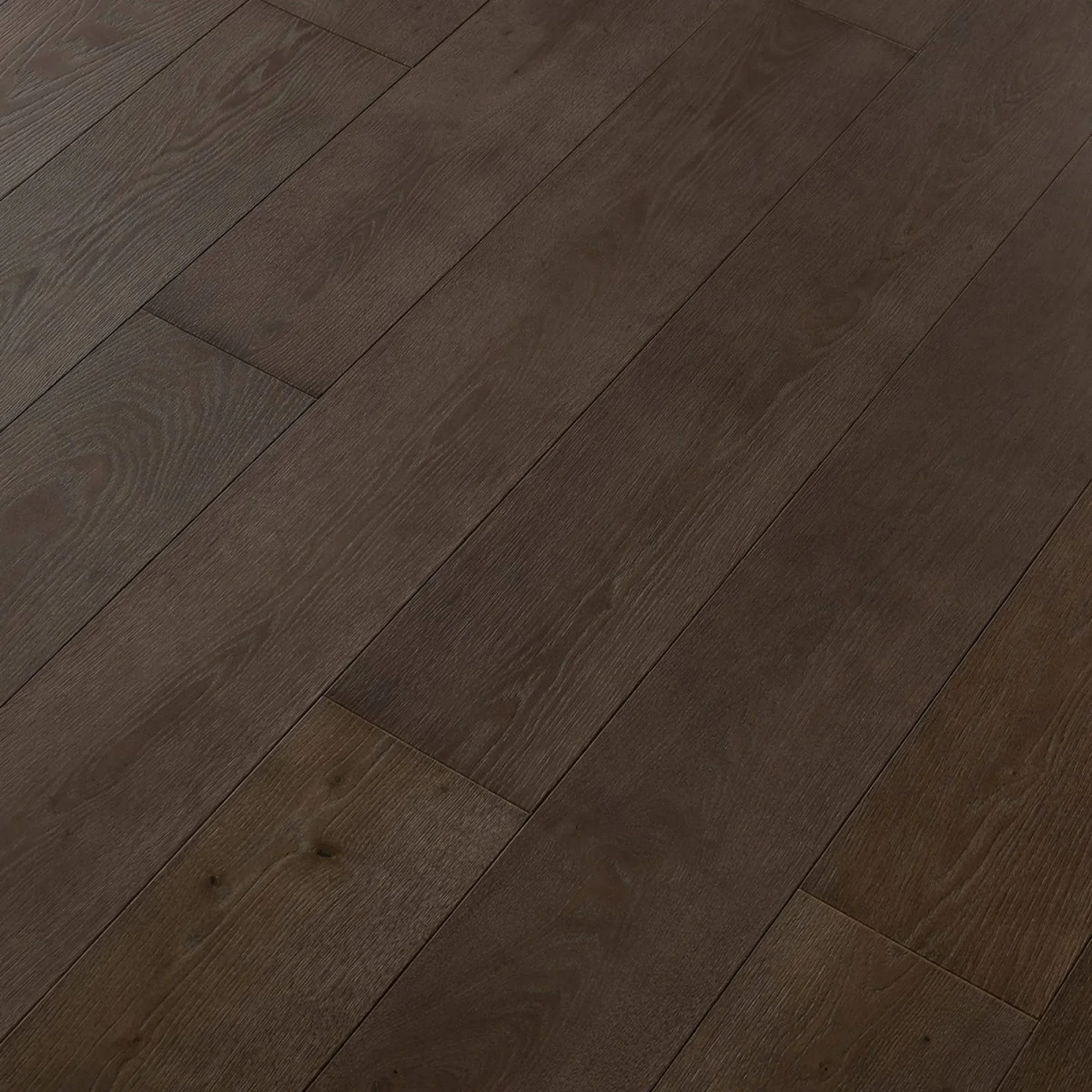 preview-doghe-ca-pisani-2b537ffe.webp
