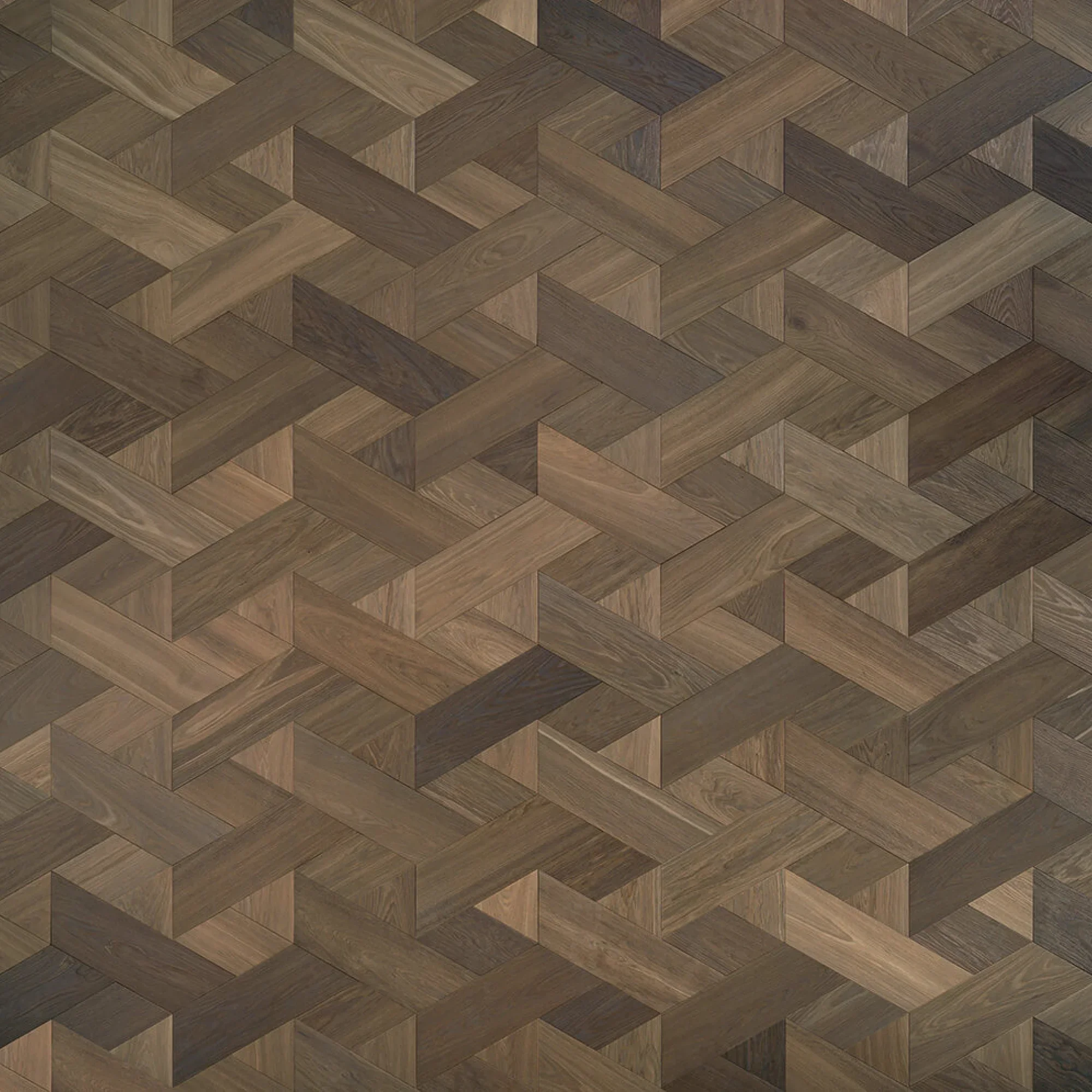 Modulo_design-NISIA-anteprima-54339893.webp