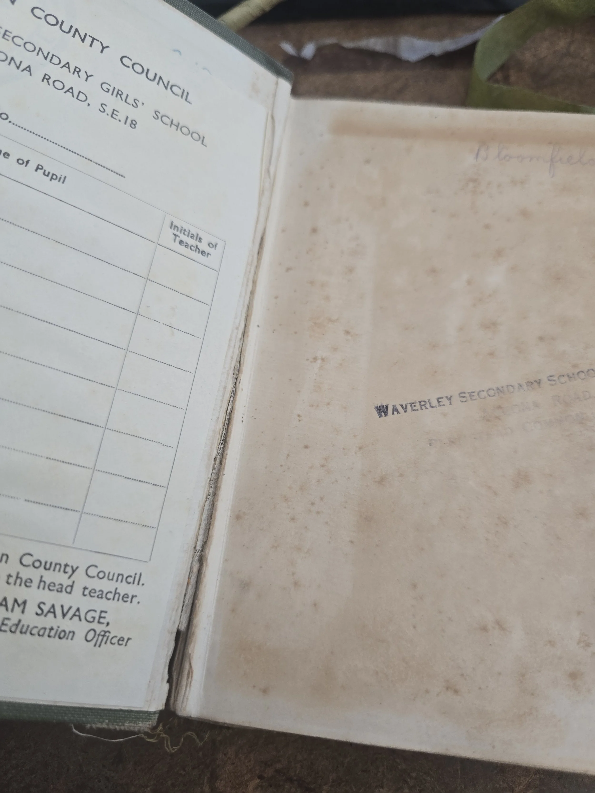 Original Edwardian flower book with illustrated cover and gilt lettering