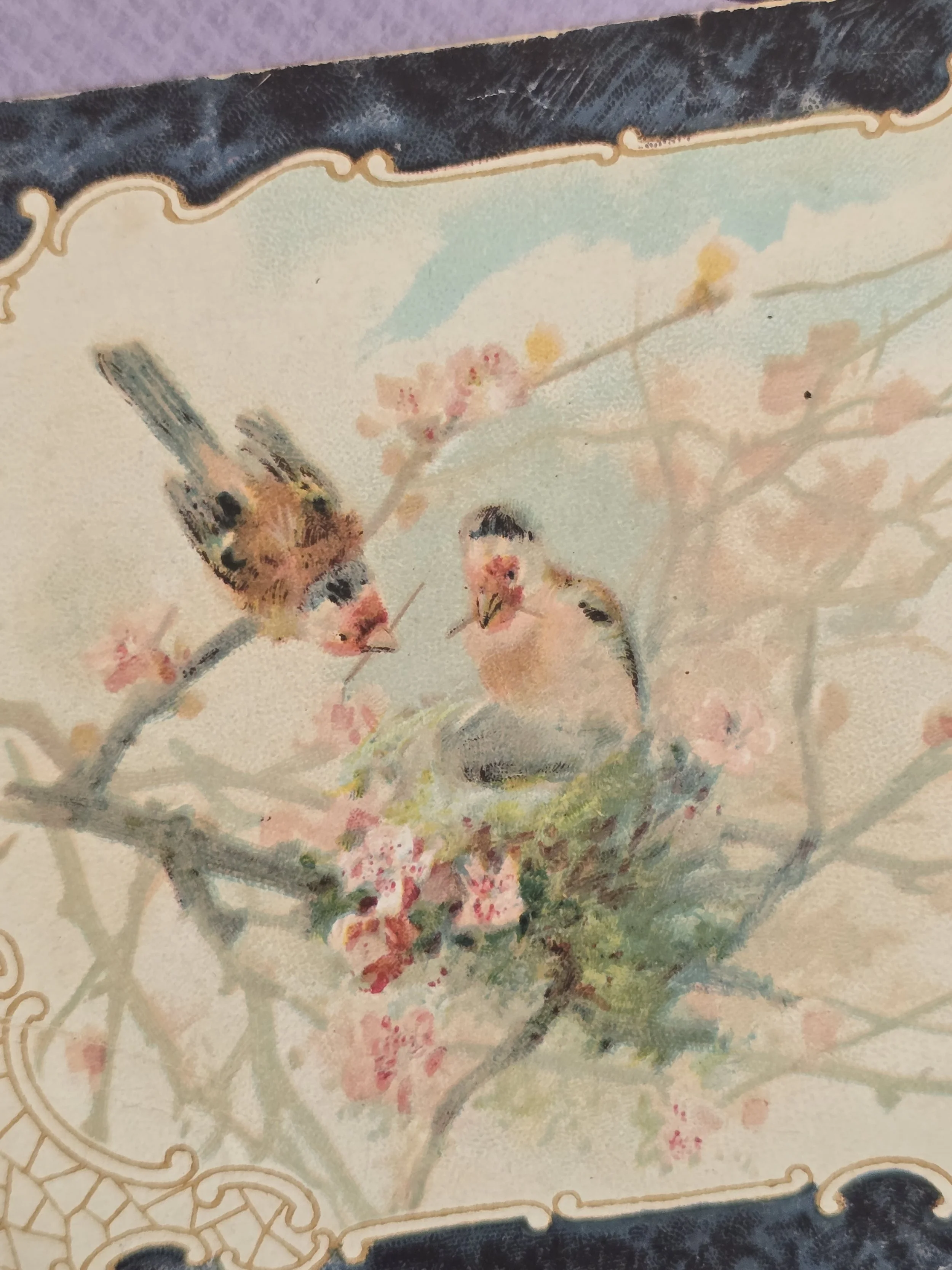 Close-up of two softly coloured birds tending a nest among pale pink blossom branches.