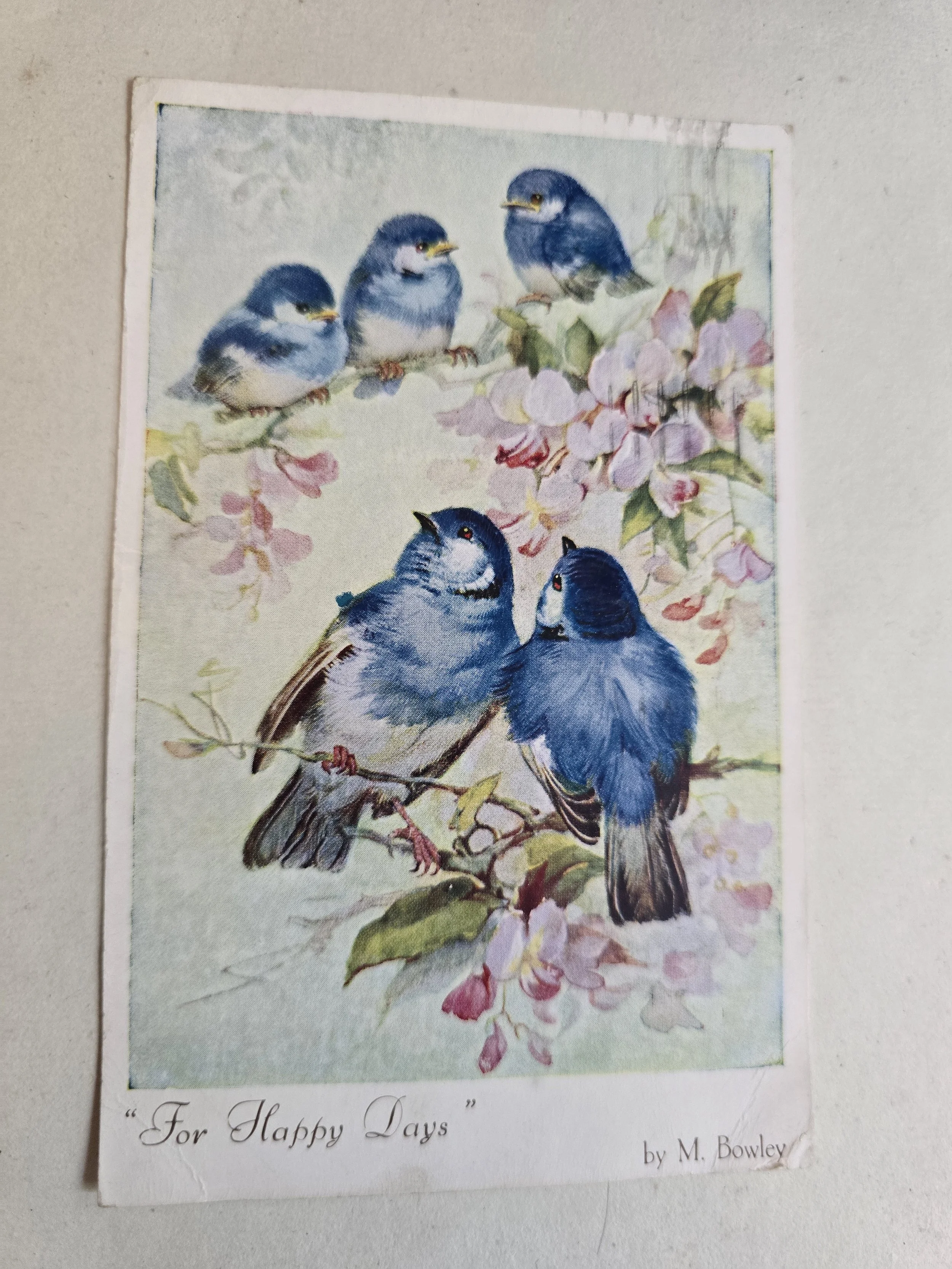 Vintage 1952 bluebird postcard titled For Happy Days by M. Bowley.