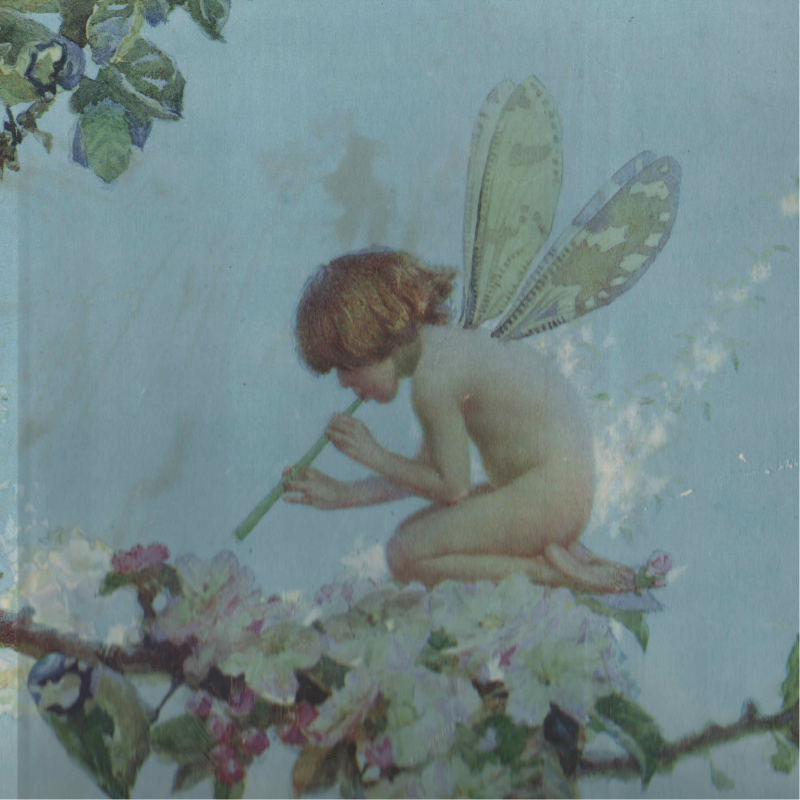 A Little Belief in Fairies