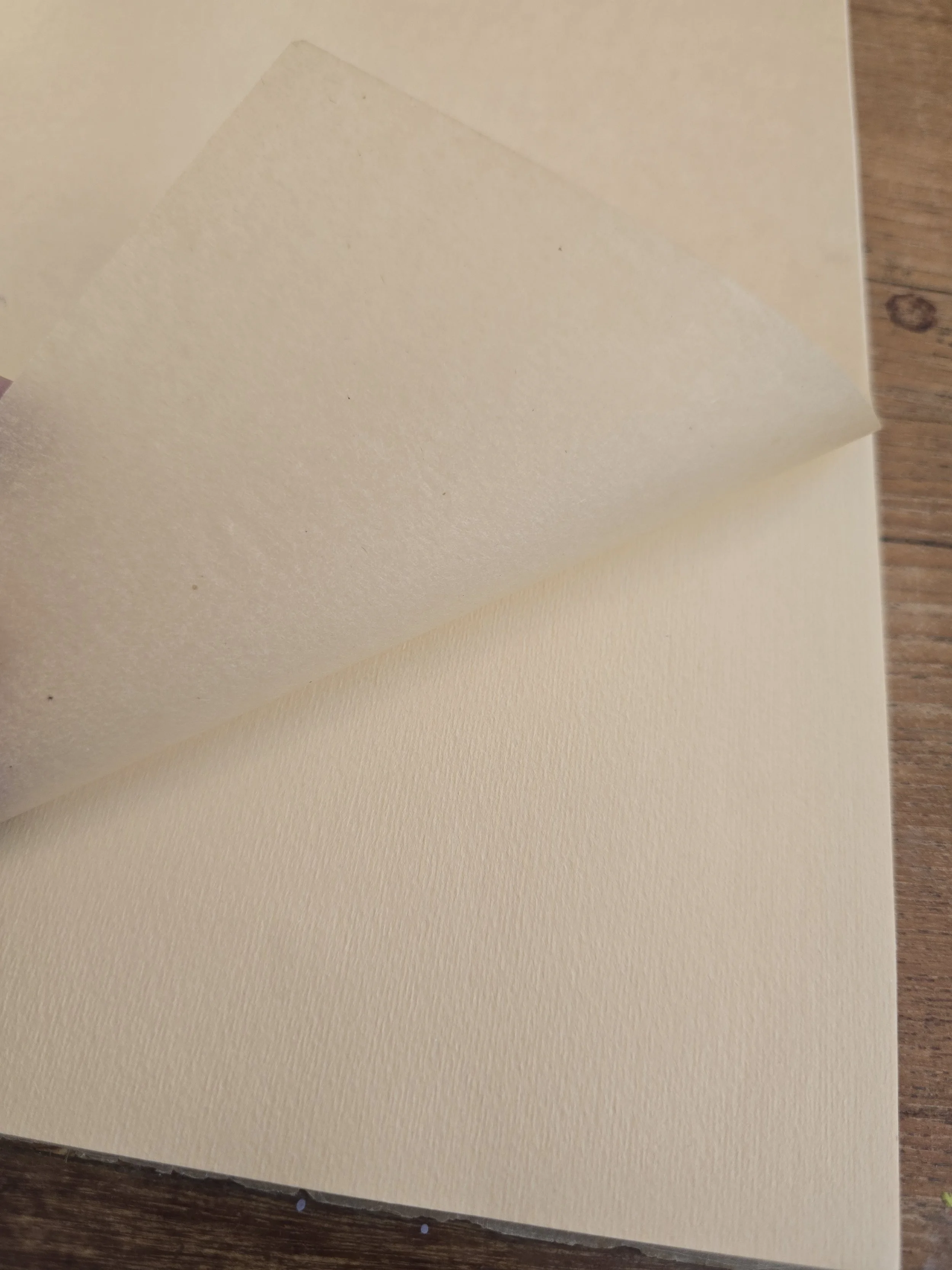 Interior of vintage French herbarium showing unused textured cream paper.