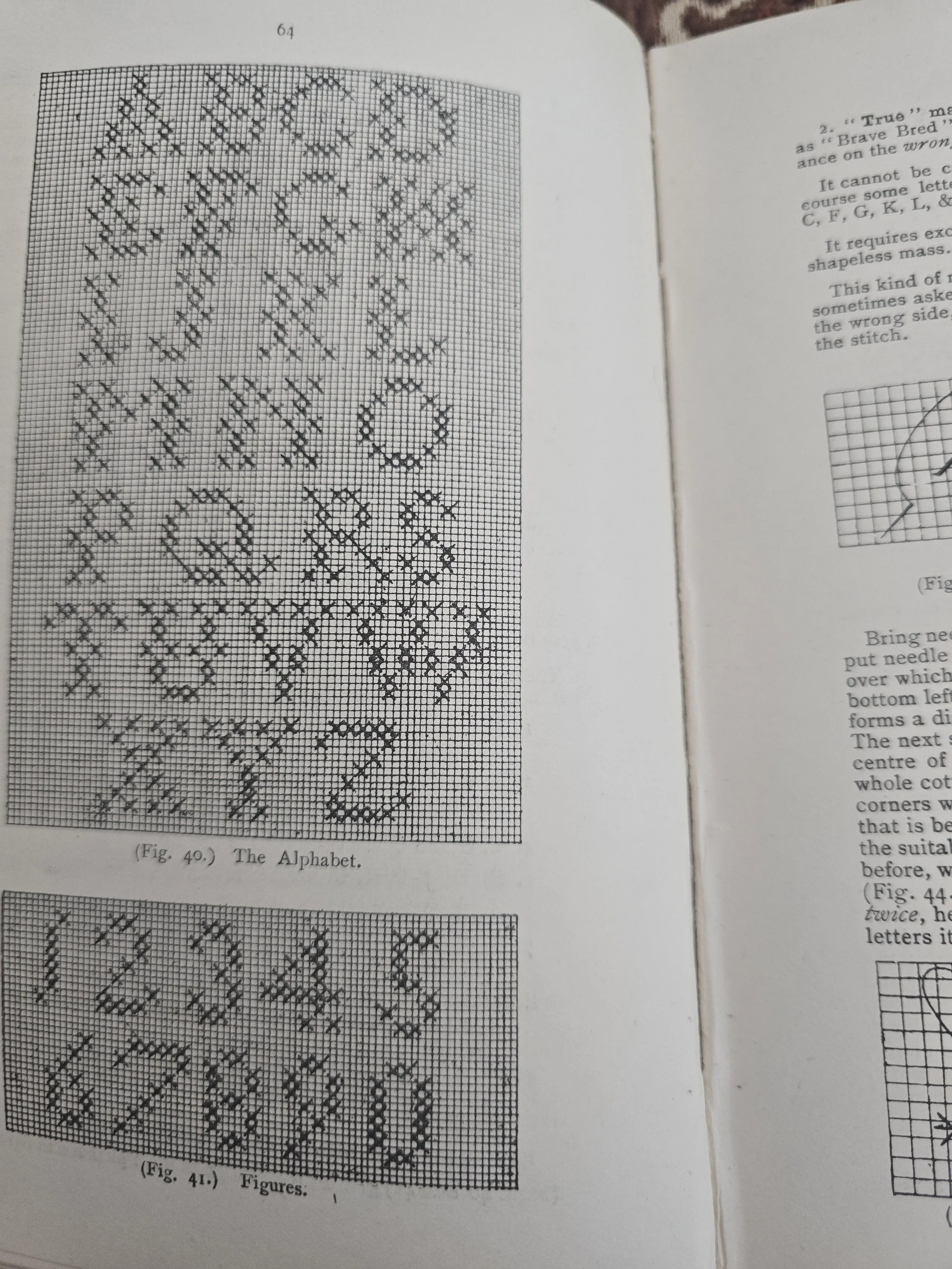 1000065503.jpg