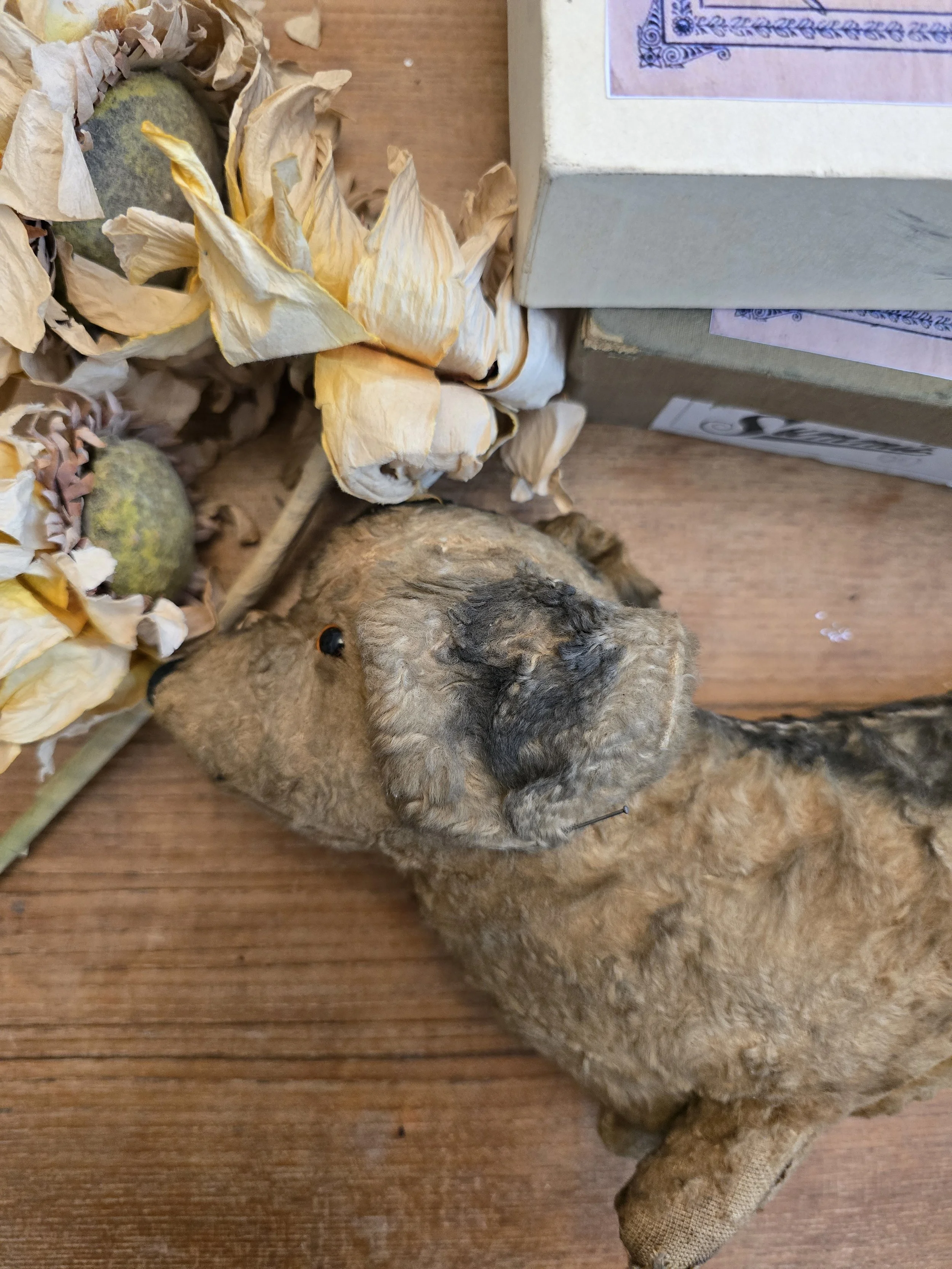 Antique mohair toy dog with amber glass eyes and worn fur.