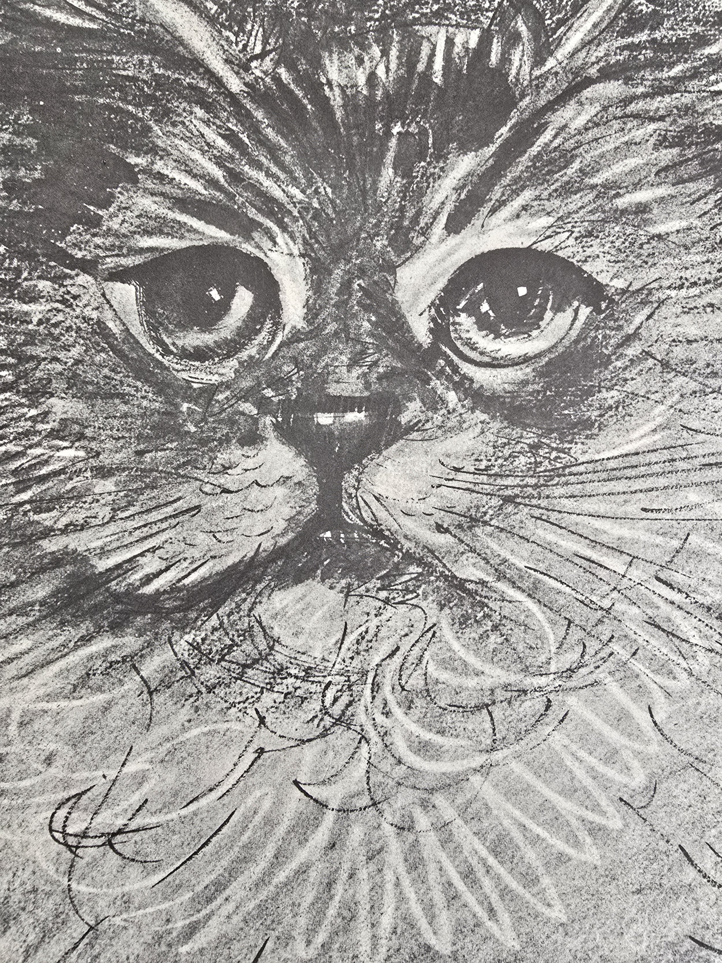 Expressive pencil sketch of a cat from vintage art book
