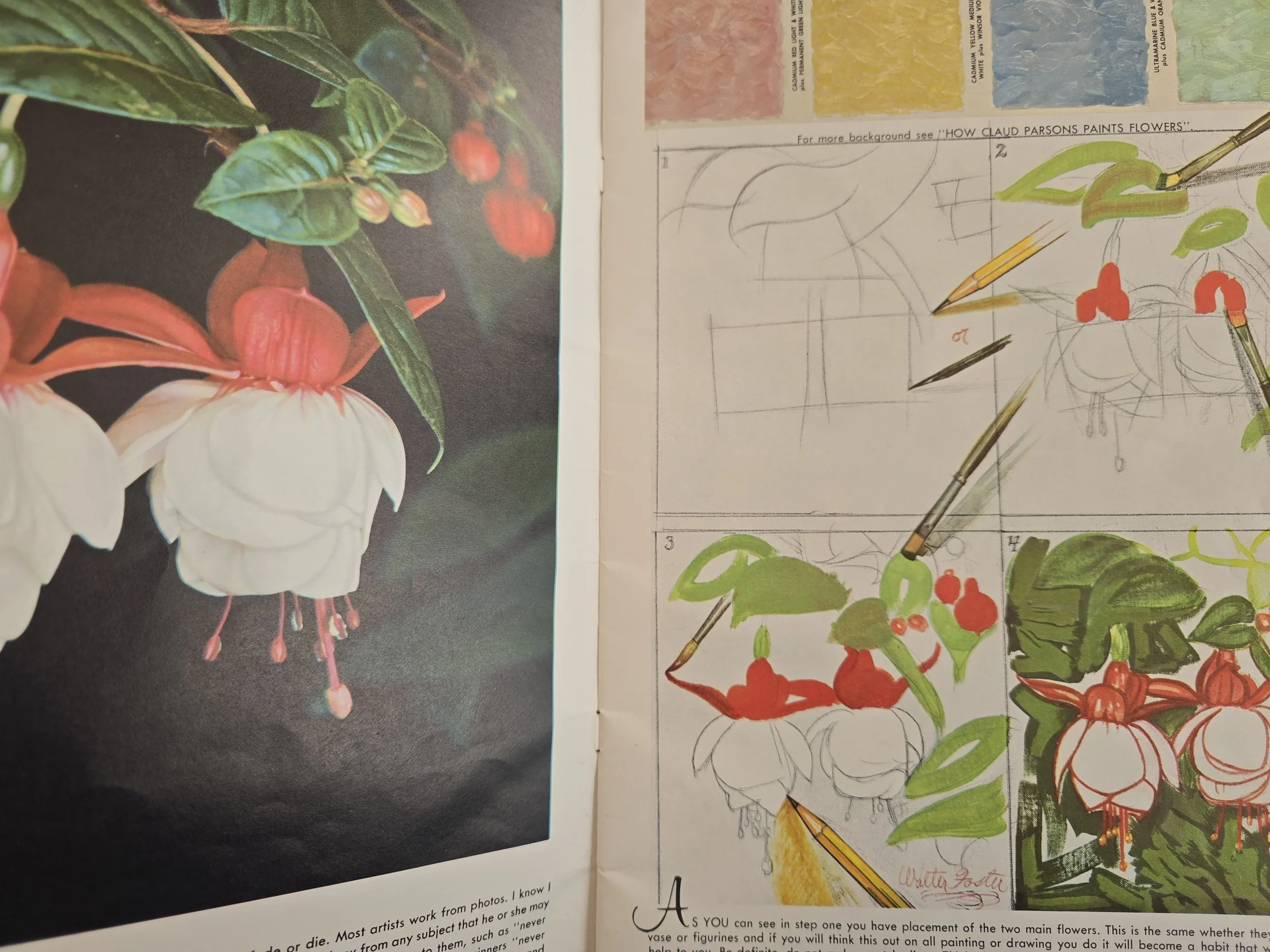 Interior page showing vintage fuchsia flower painting tutorial and colour guidance.