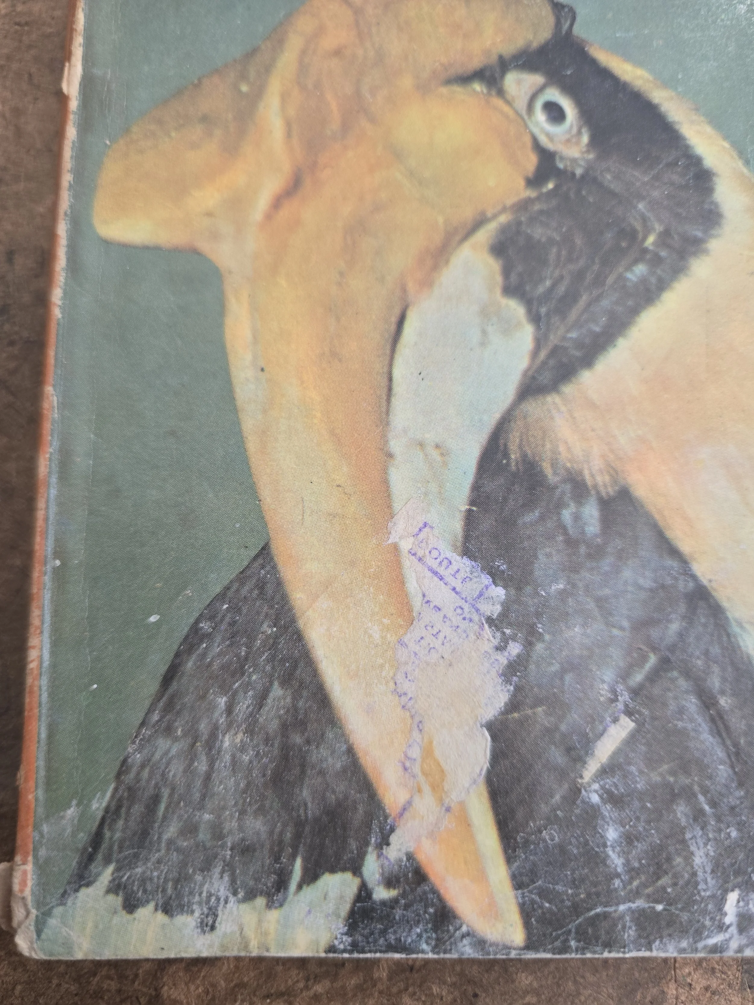 Front cover of Gerald Durrell wildlife book featuring a hornbill illustration.
