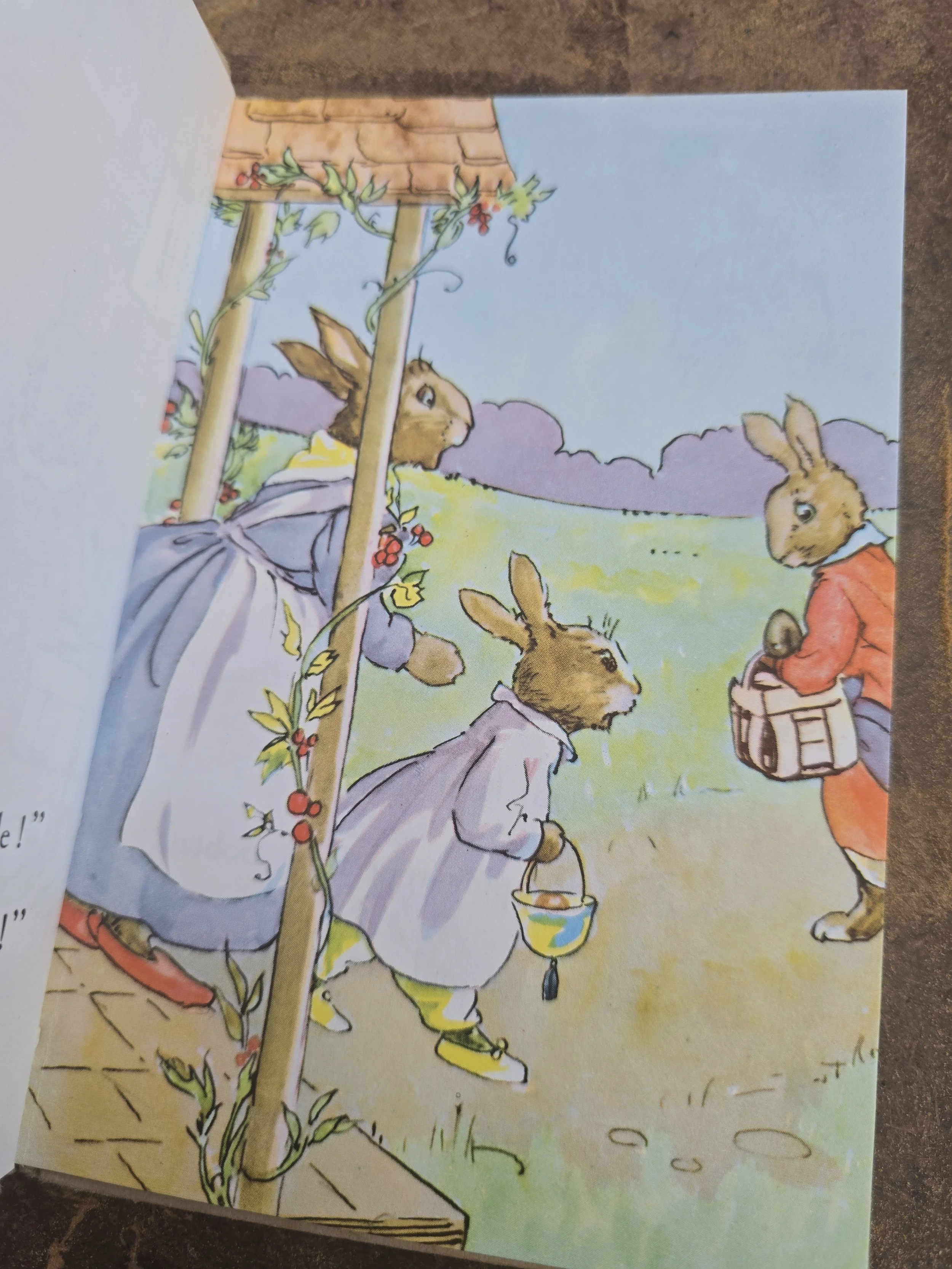 Colour illustration of rabbit family inside vintage Ladybird book.