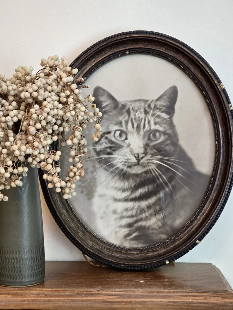 Antique framed cat portrait displayed with vase of berries.
