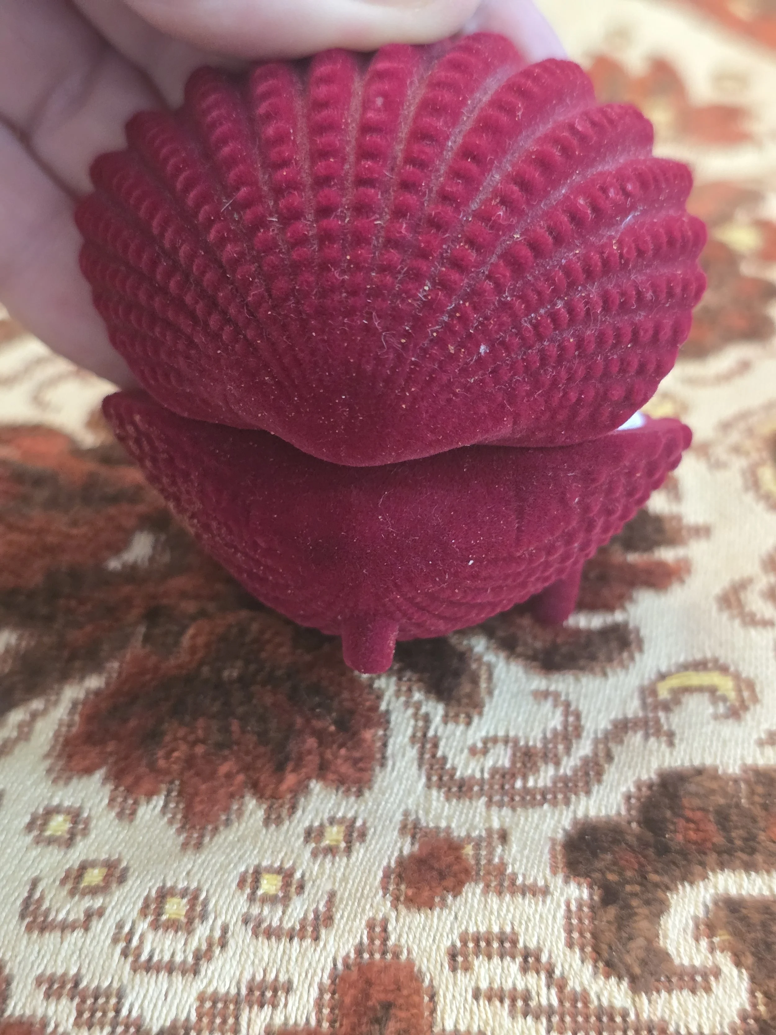 Open seashell ring box showing clean white padded interior