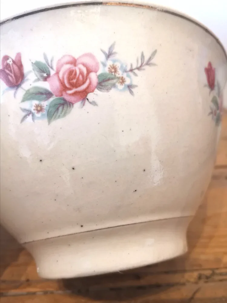 Side view of vintage French floral bowl with footed base