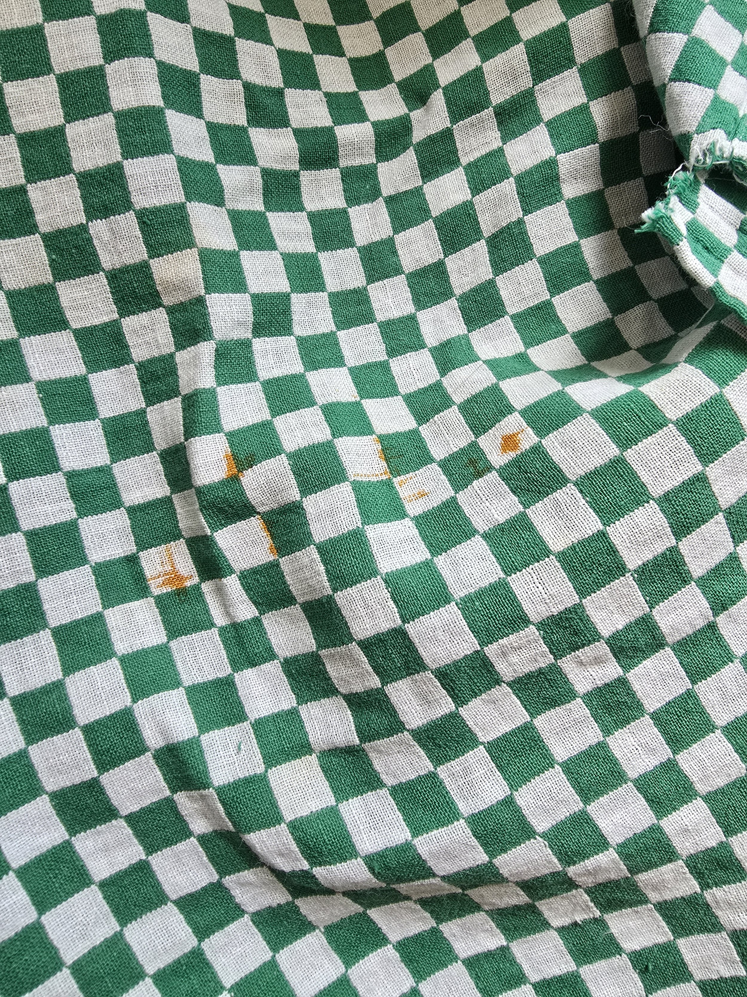 french-check-tablecloth-closeup.jpg