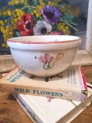 Vintage Spanish Ceramicas bowl with hand-painted floral design, front view