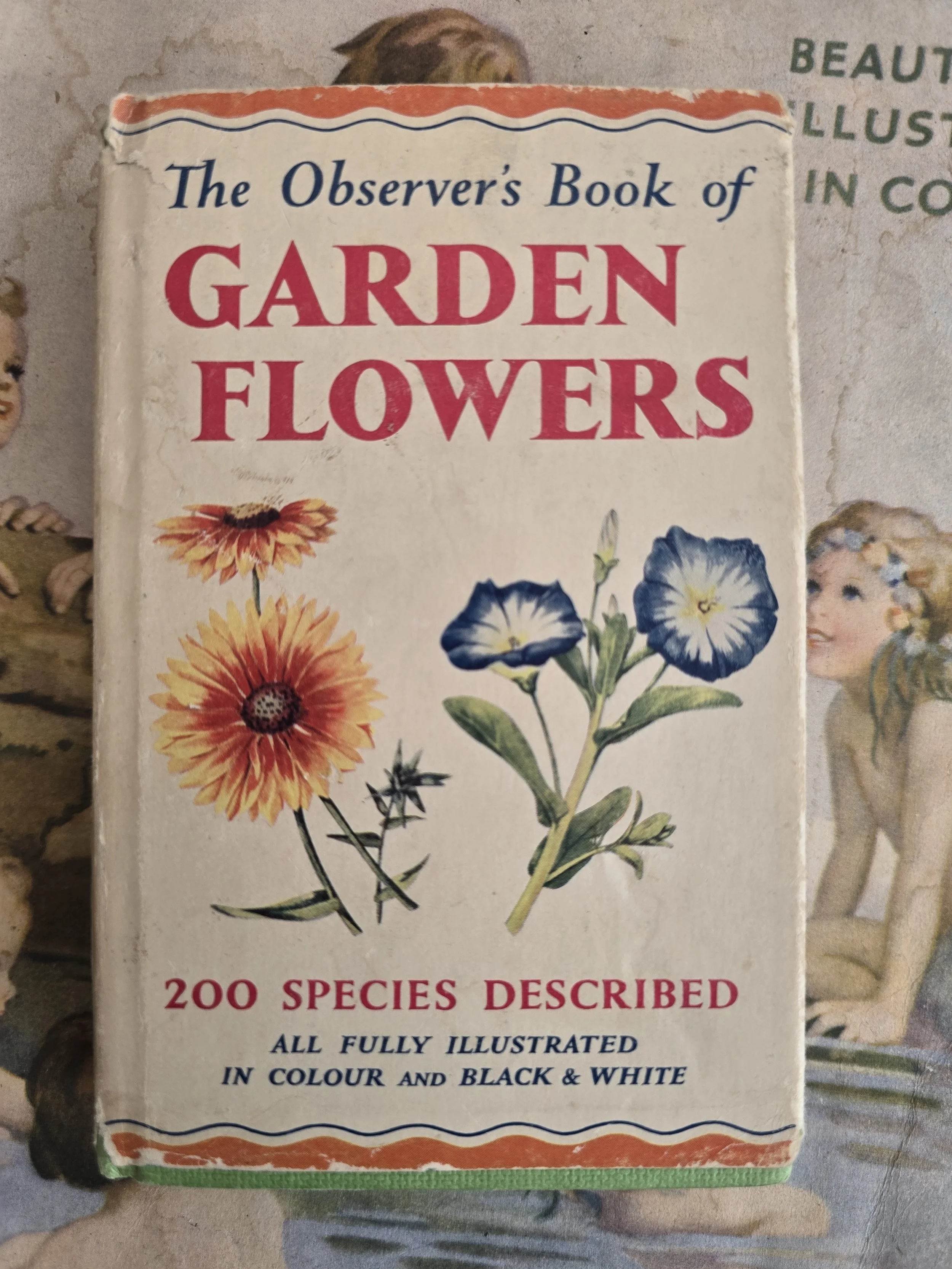 Vintage copy of The Observer's Book of Garden Flowers with illustrated floral cover.
