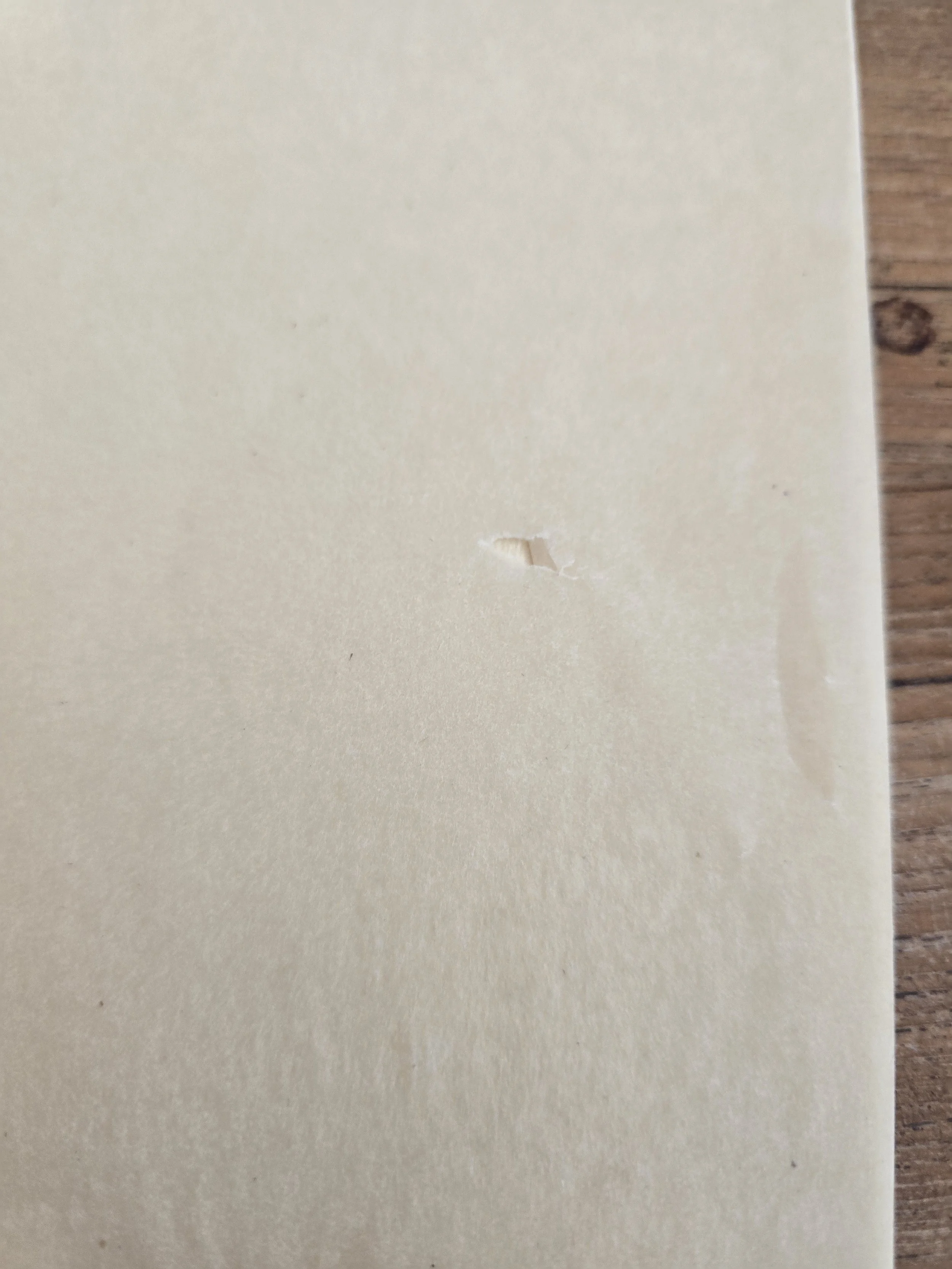 Small age-related tear to an unused page inside the vintage French botanical book.