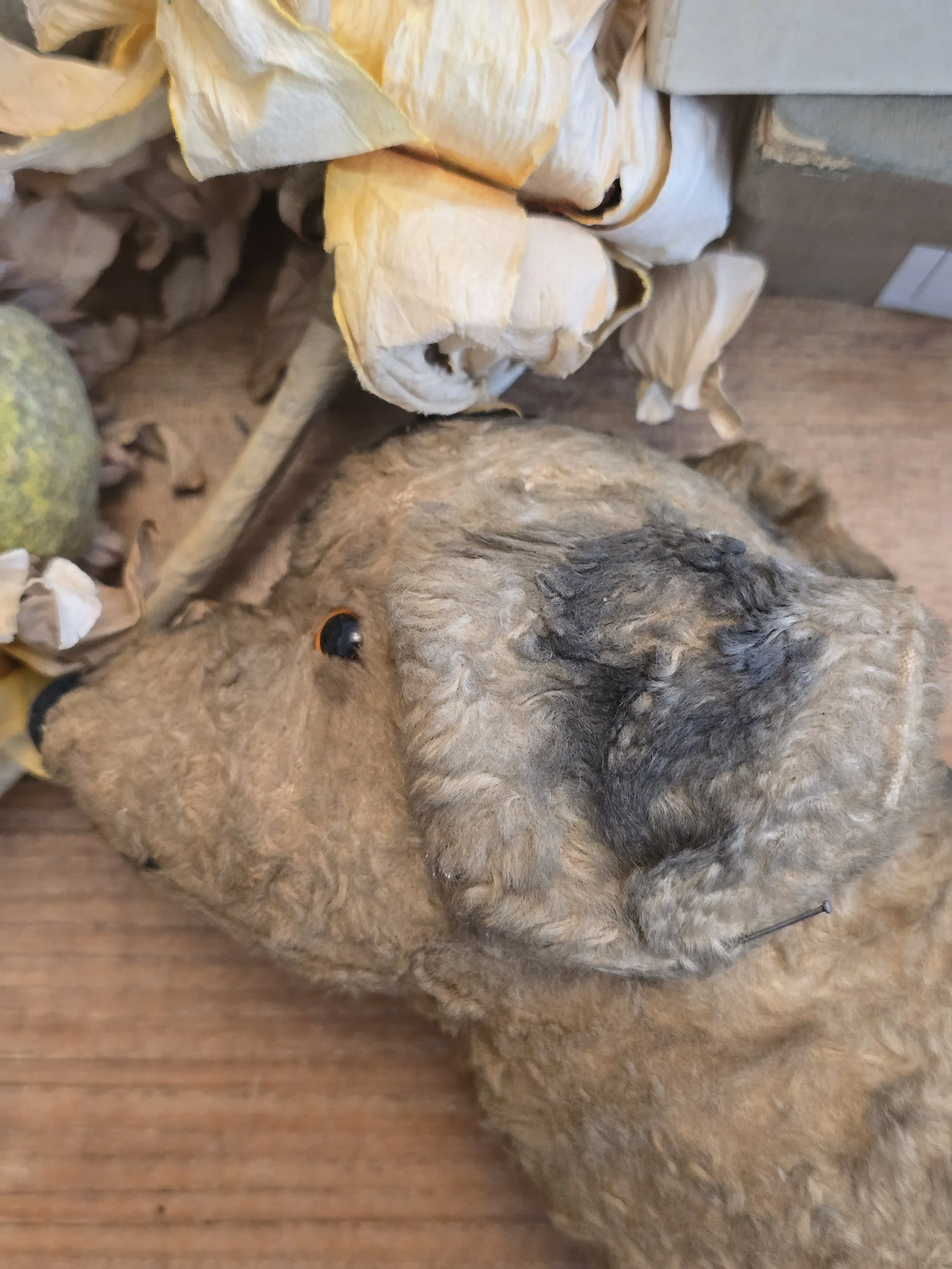 Early 20th century stuffed dog showing original mohair and linen paws.