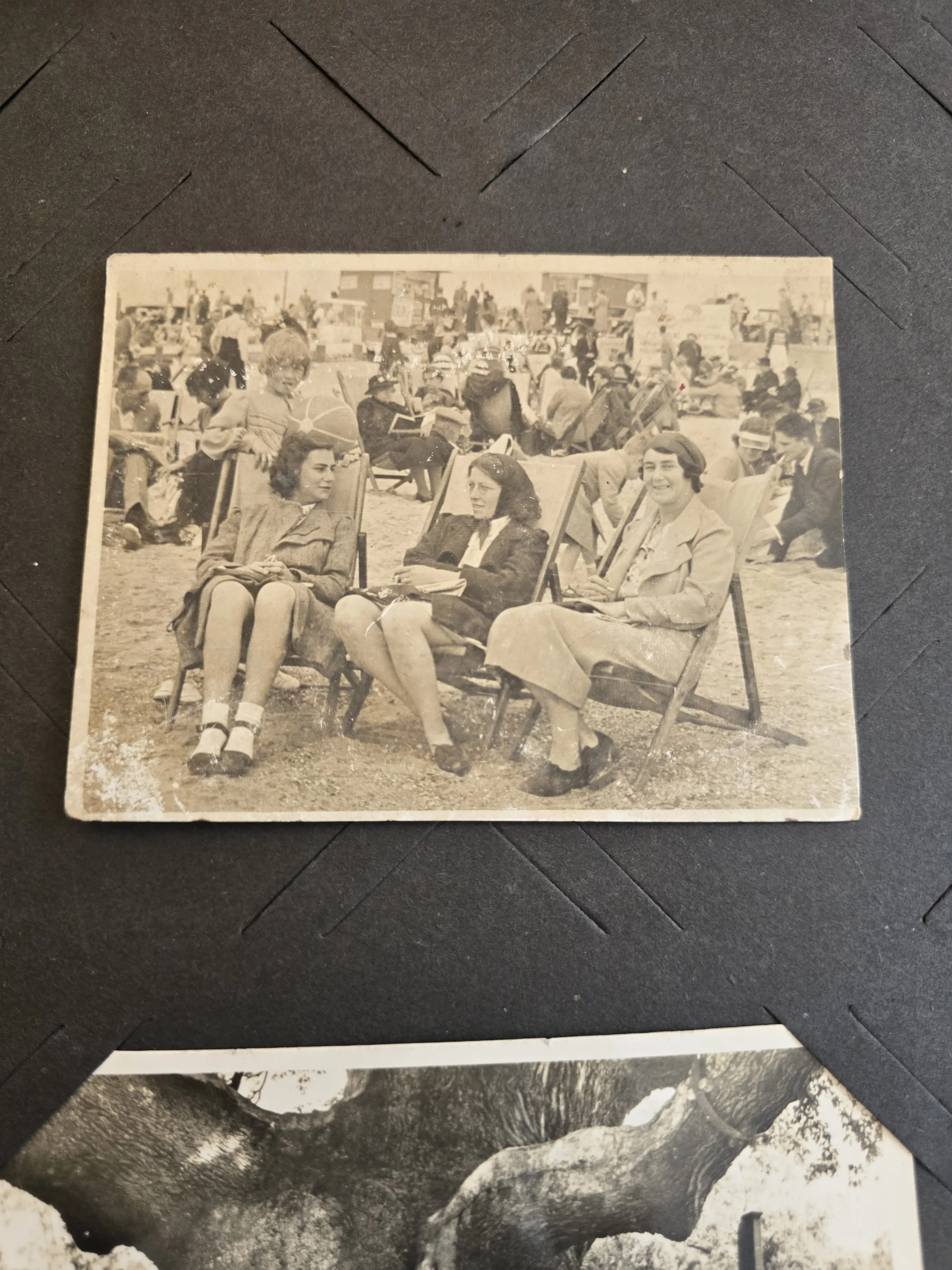 Original 1930s to 1940s British seaside photograph showing three women sitting in deckchairs.