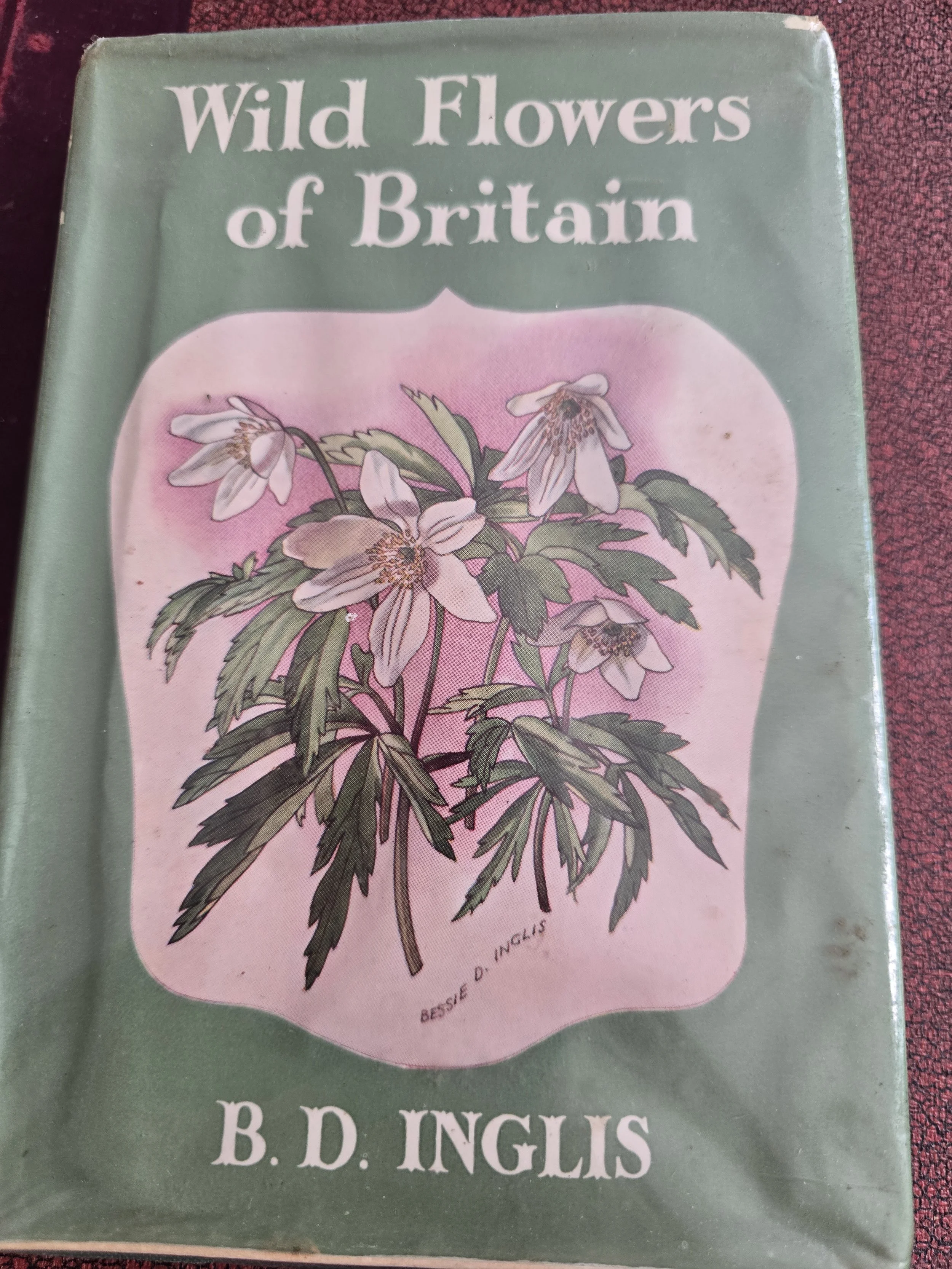 vintage botanical book pages suitable for collage and mixed media artwork