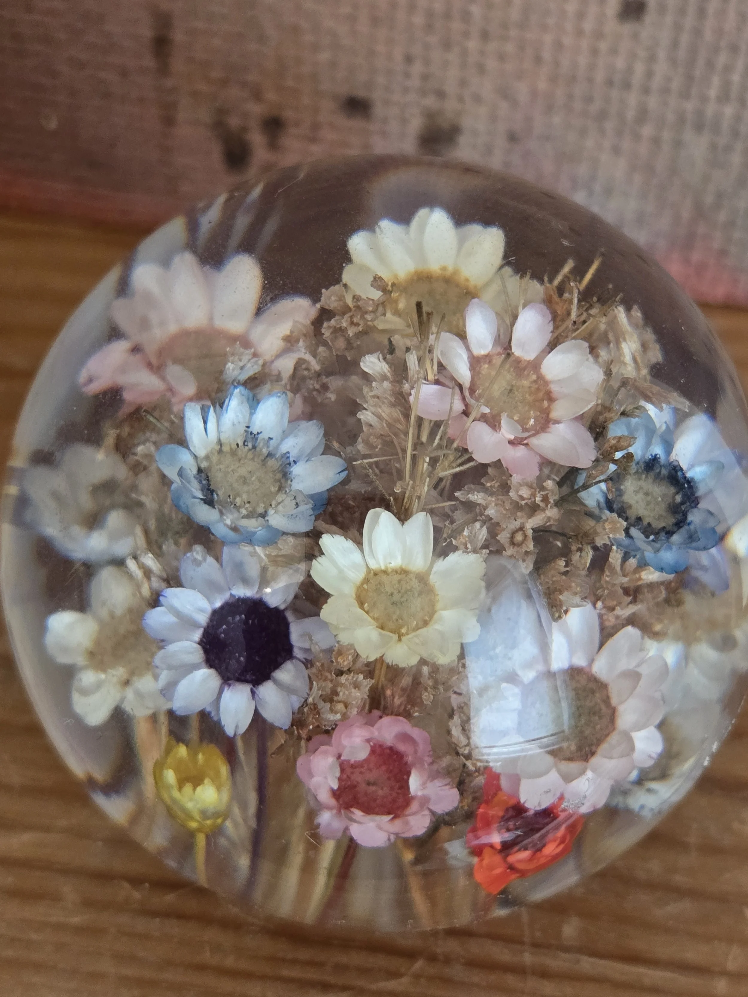 Close-up view of dried daisies and wildflowers suspended within a vintage resin paperweight.