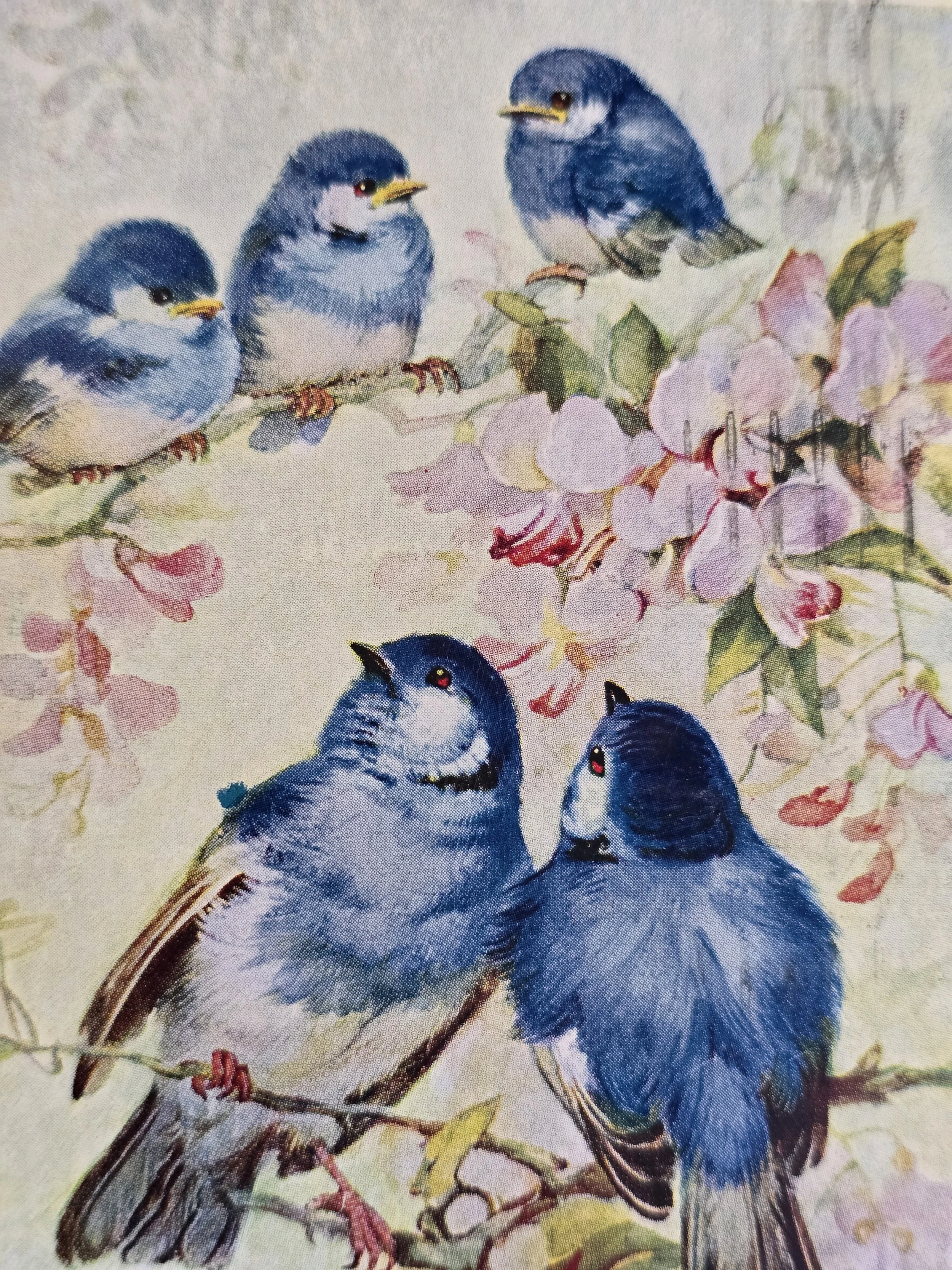 Collectable 1952 British postcard featuring bluebird illustration and spring flowers.