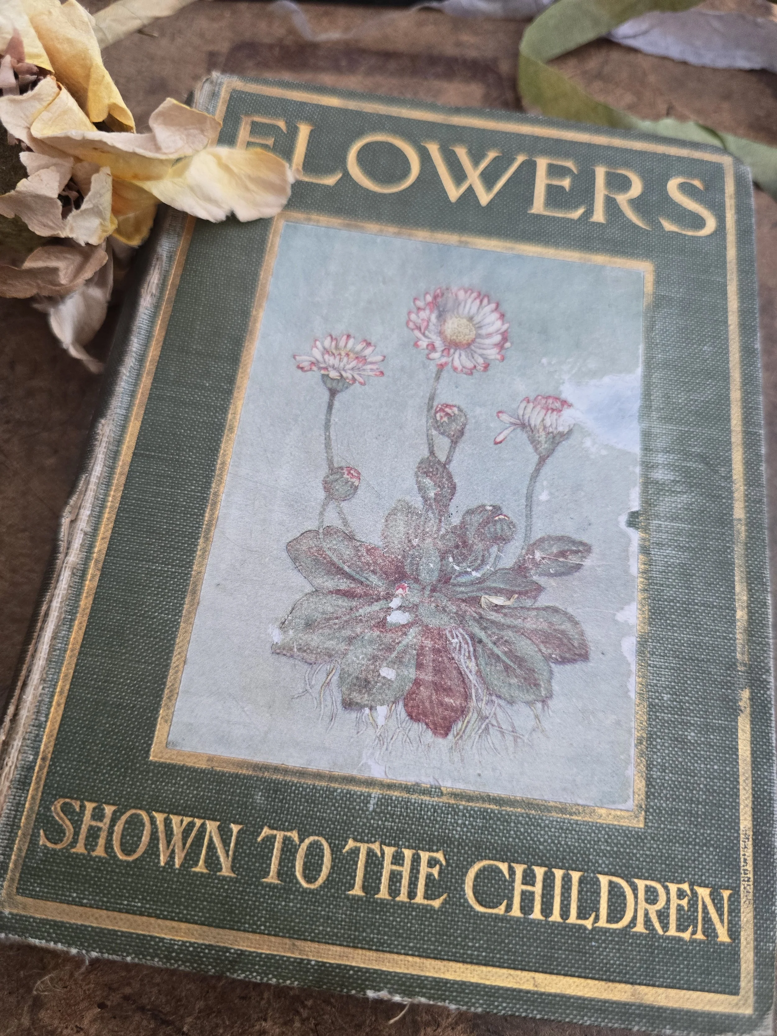 Early 20th century Flowers Shown to the Children botanical book in green cloth binding