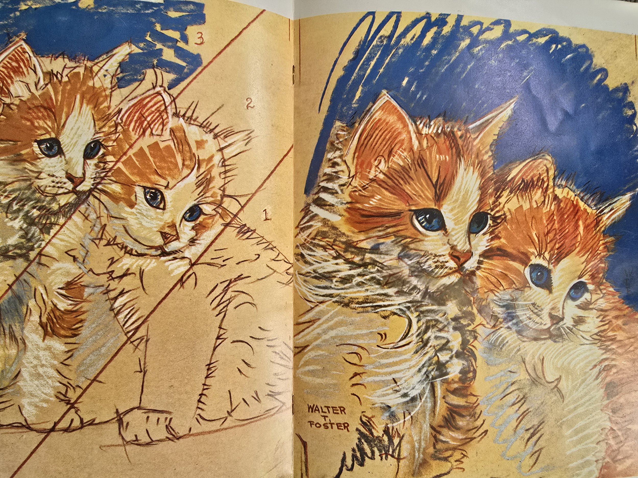 Series of feline sketches from vintage art tutorial