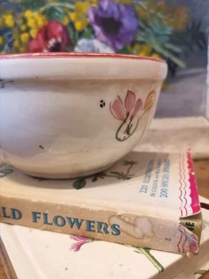 Interior of Spanish floral Ceramicas bowl with vibrant hand-painted design