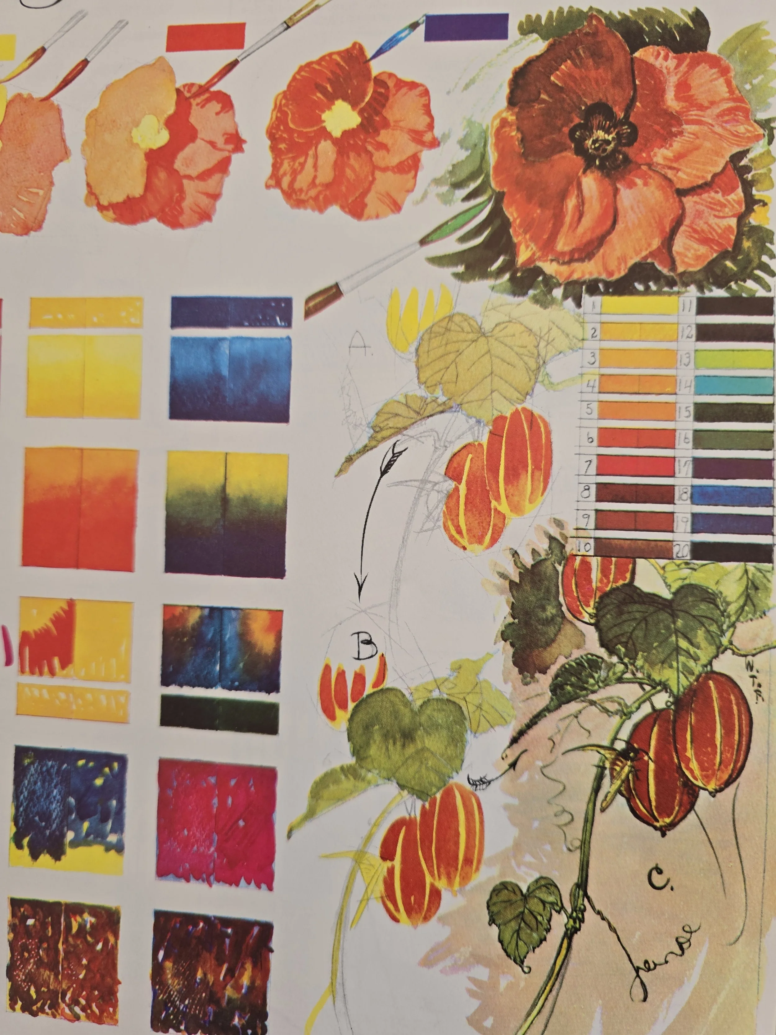 Vintage flower painting guide demonstrating poppy construction and colour layering