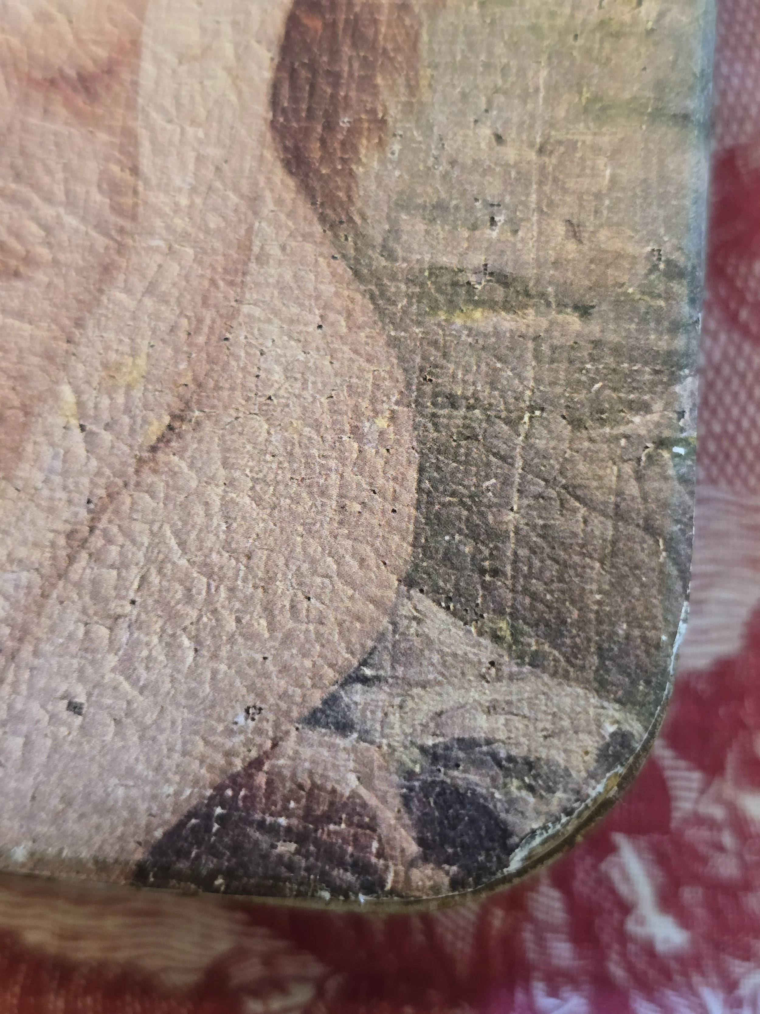 20261005_175115.jpg