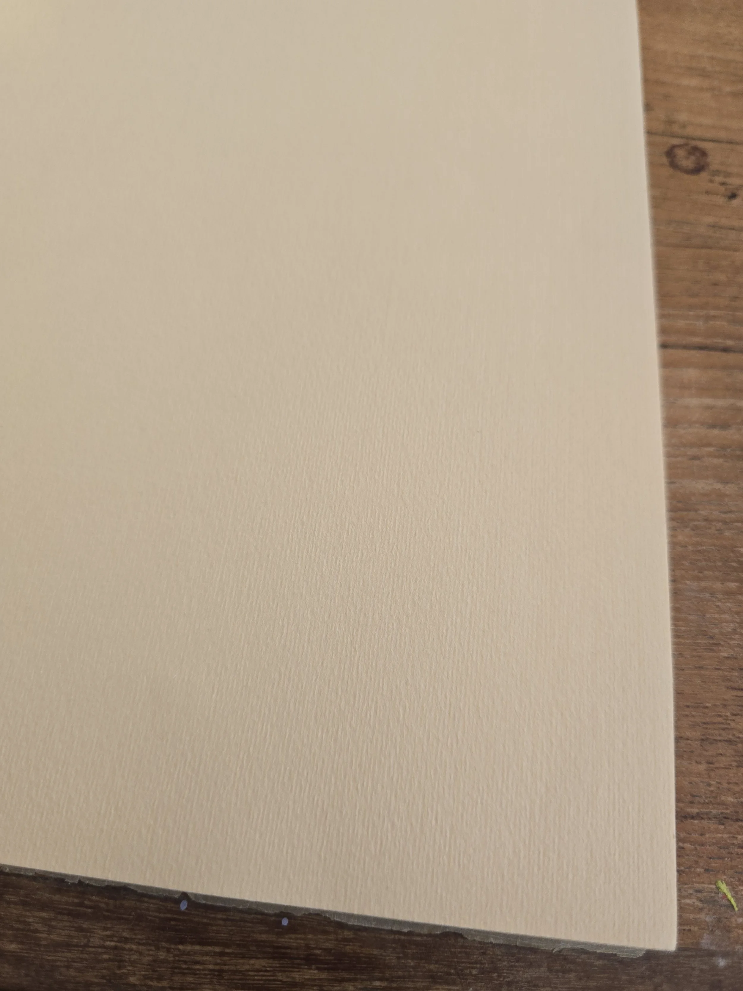 Blank cream pages inside an unused vintage French botanical specimen book.