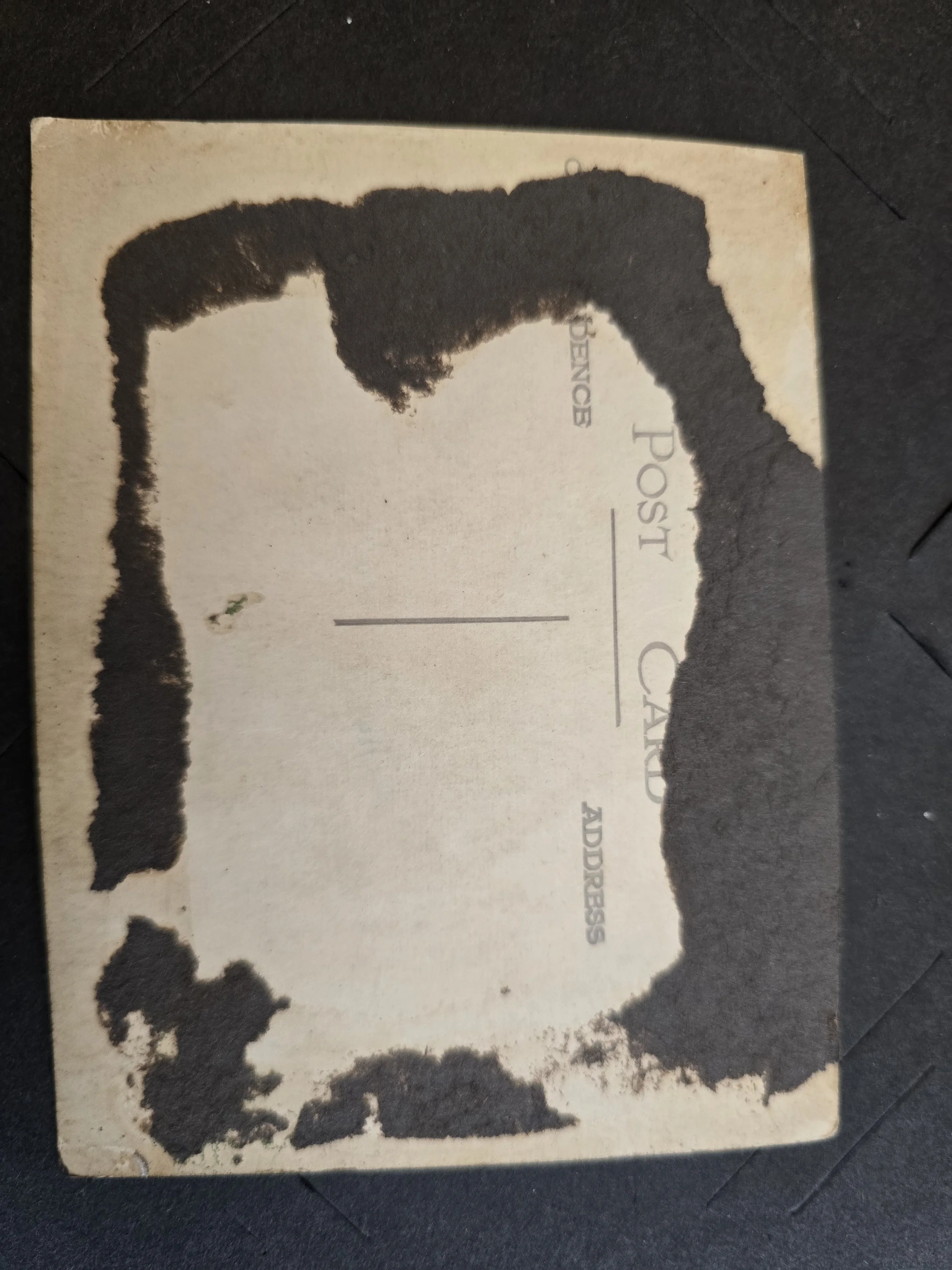 Reverse of vintage seaside photograph printed as a postcard with divided address back.