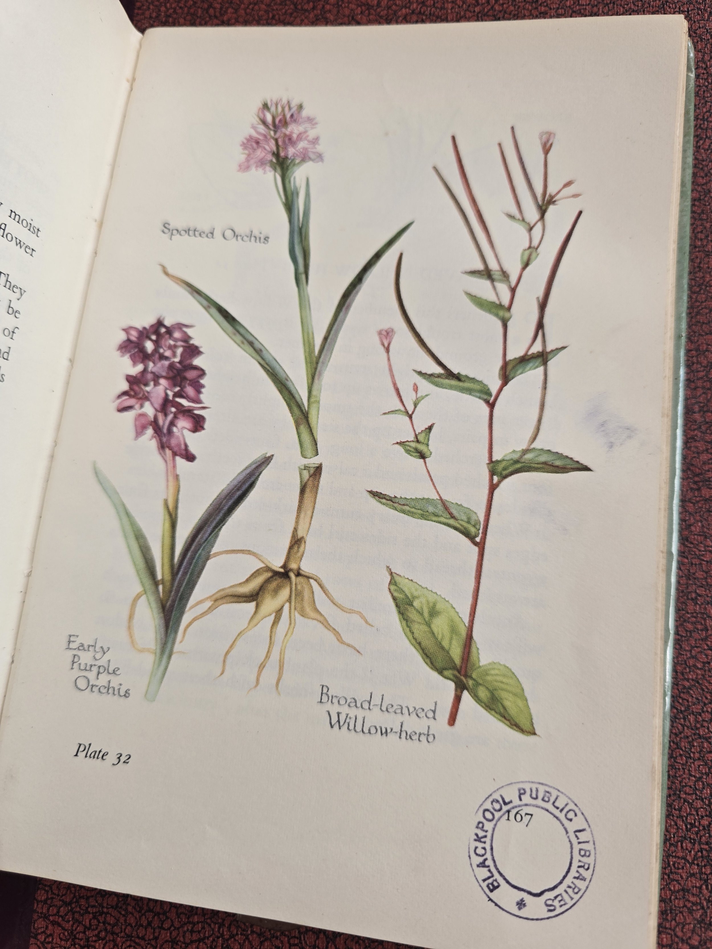 vintage botanical book pages suitable for collage and mixed media artwork