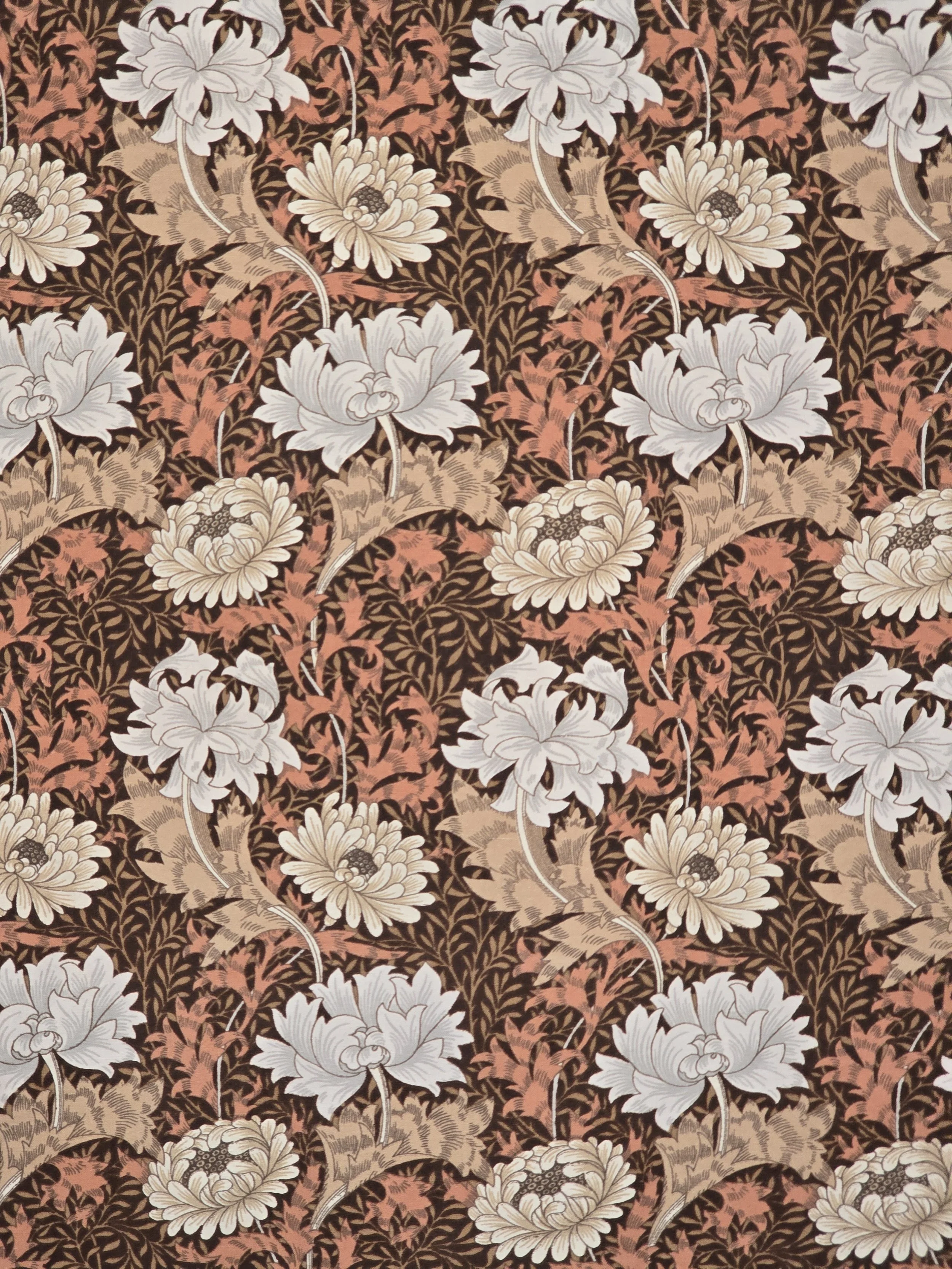 William Morris Chrysanthemum Minor floral fabric with cream flowers on brown ground.