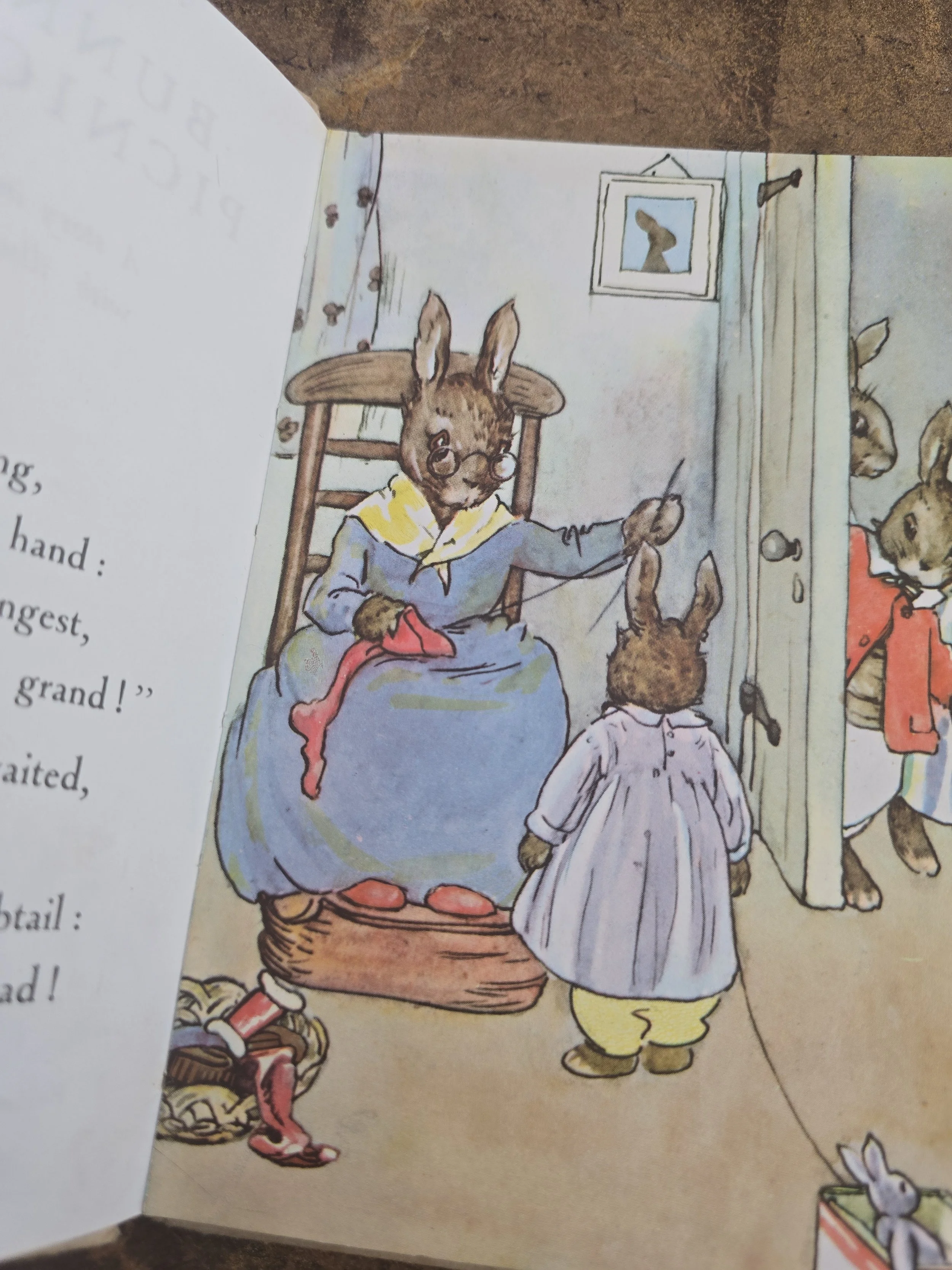 Title page of Bunnikin's Picnic Party by A. J. MacGregor.
