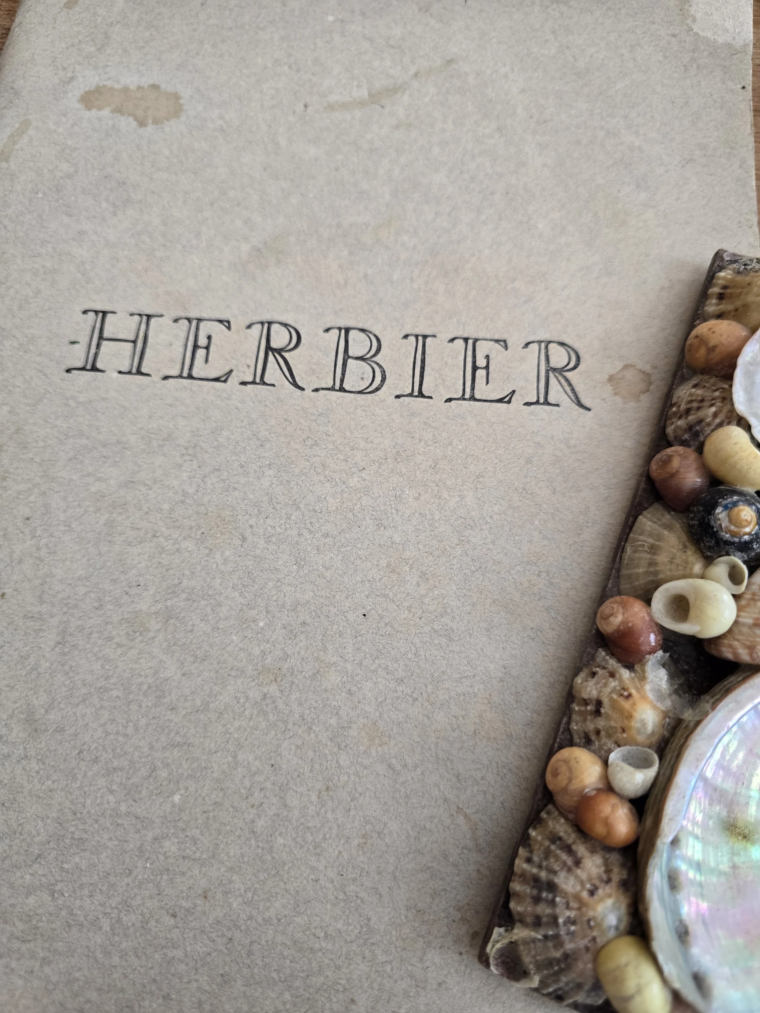 Vintage French Herbier Botanical Specimen Book, Unused