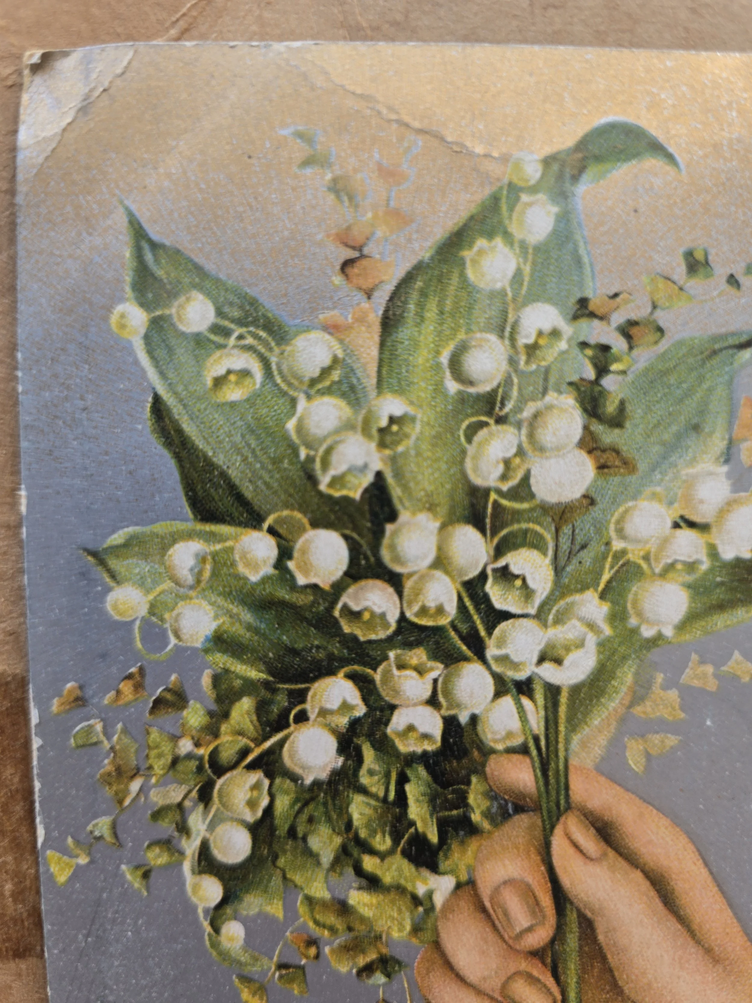Antique Edwardian Lily of the Valley Postcard